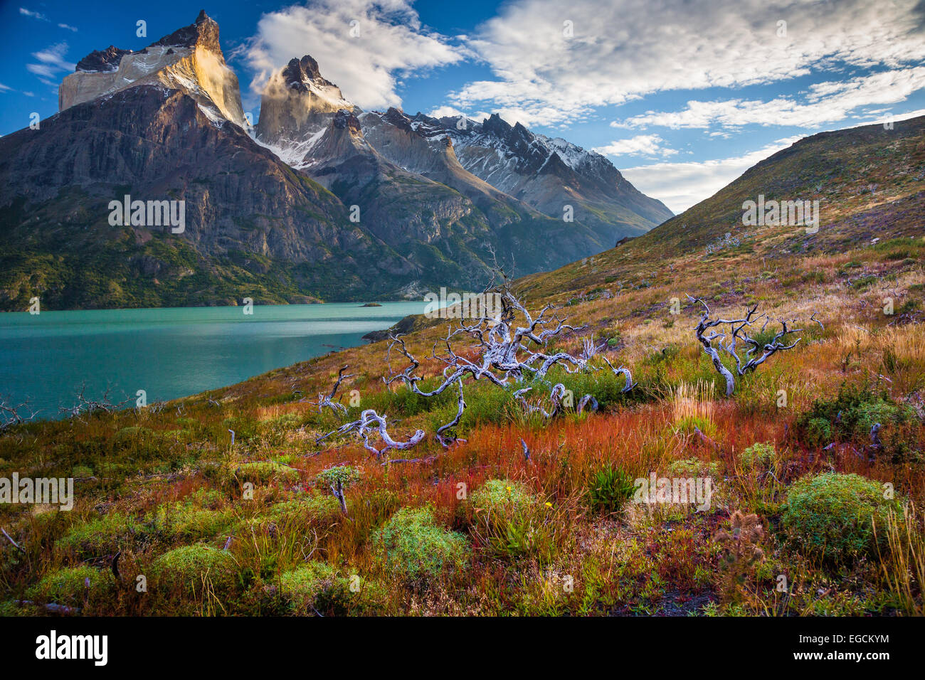 Los Cuernos che sovrasta il Lago Nordenskjold, Torres del Paine, Patagonia cilena Foto Stock