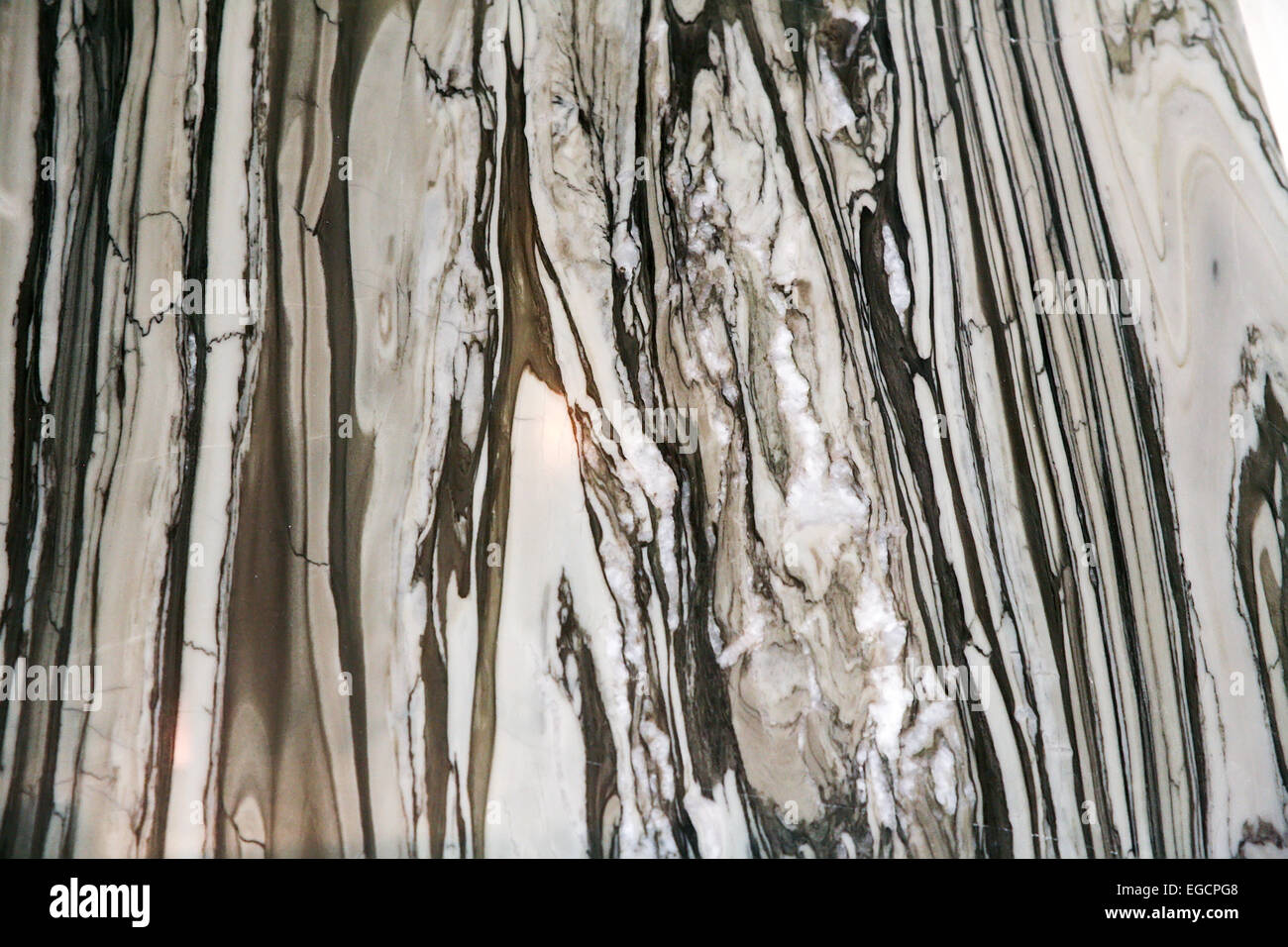 Pietra Silificated Foto Stock
