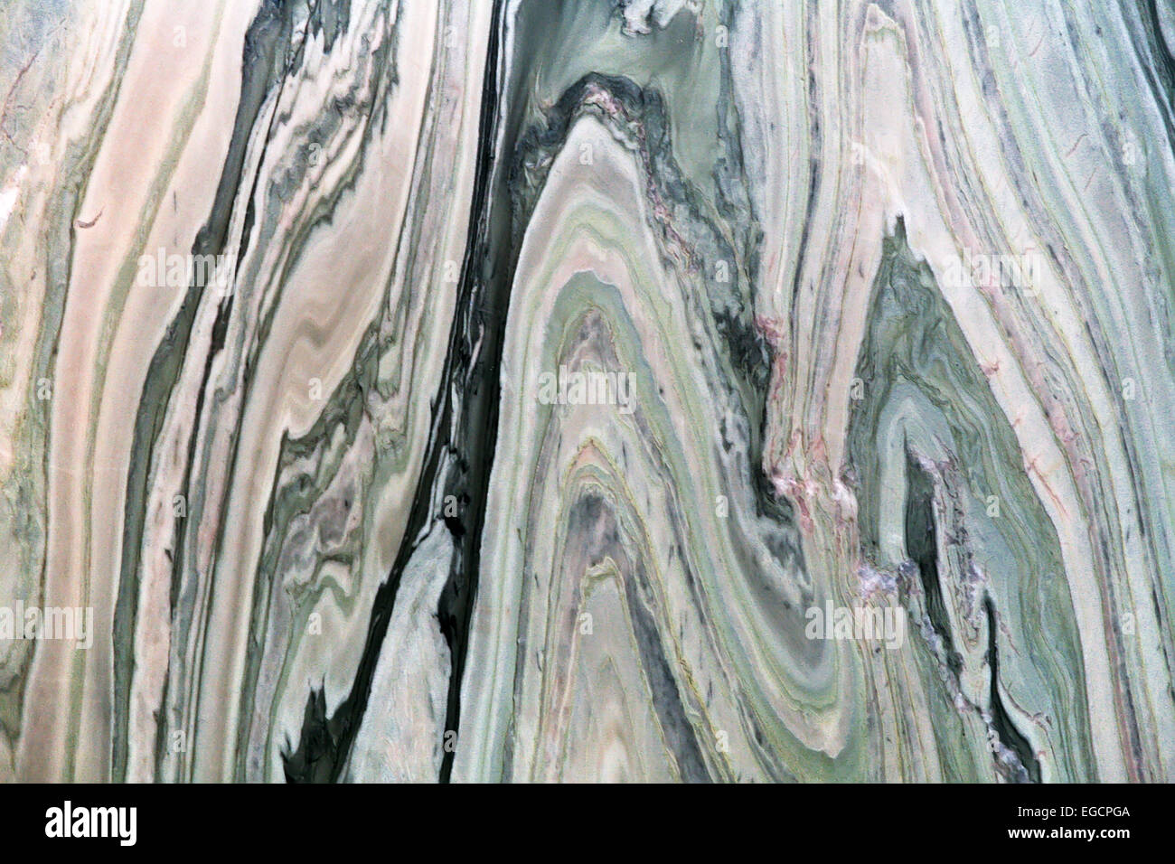 Pietra Silificated Foto Stock