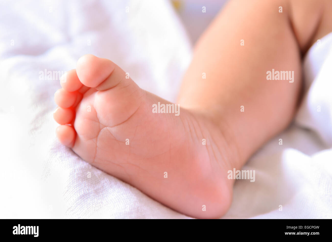 Piedi del bambino neonato Foto Stock