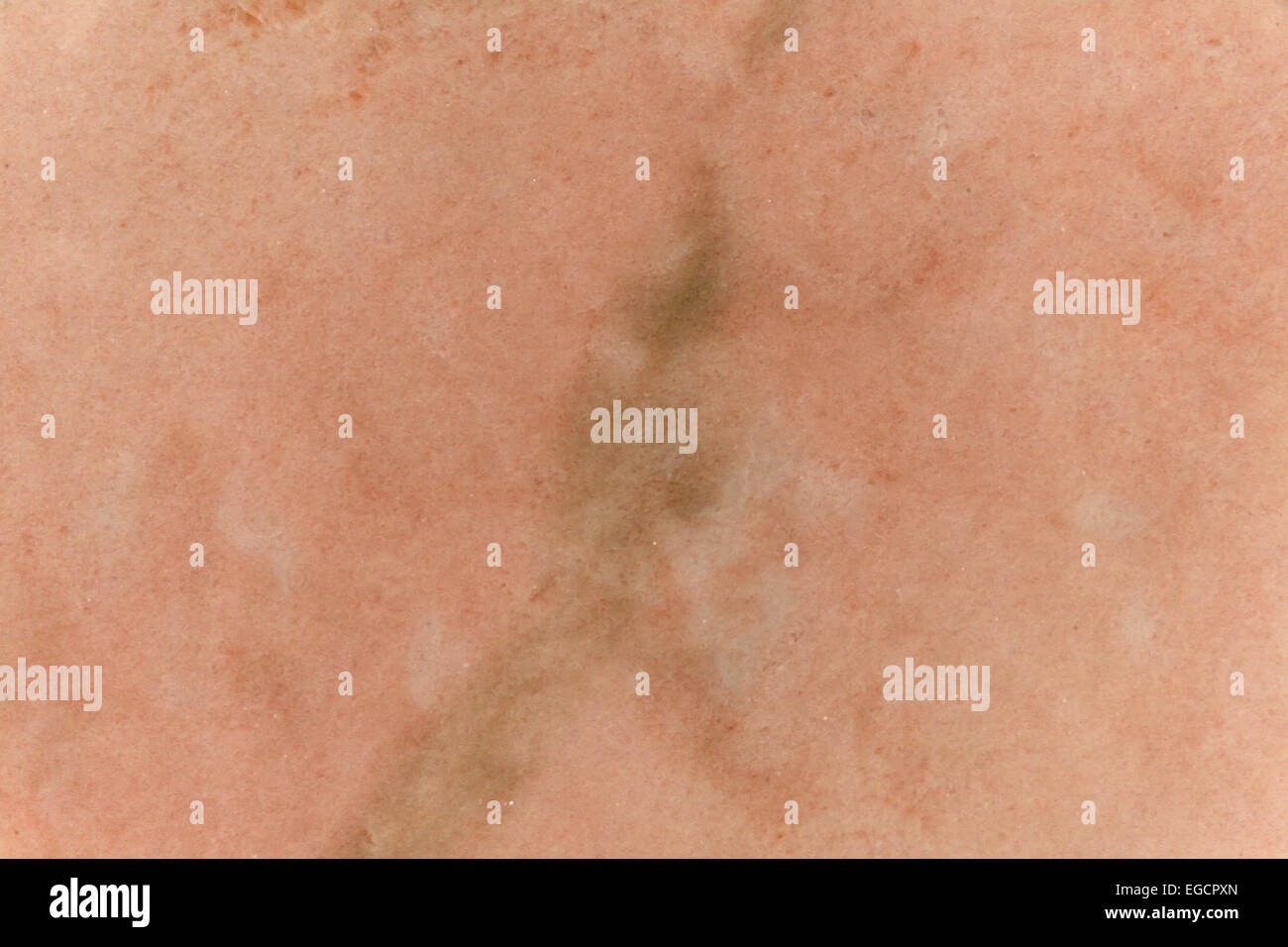 Pietra di marmo sullo sfondo Foto Stock