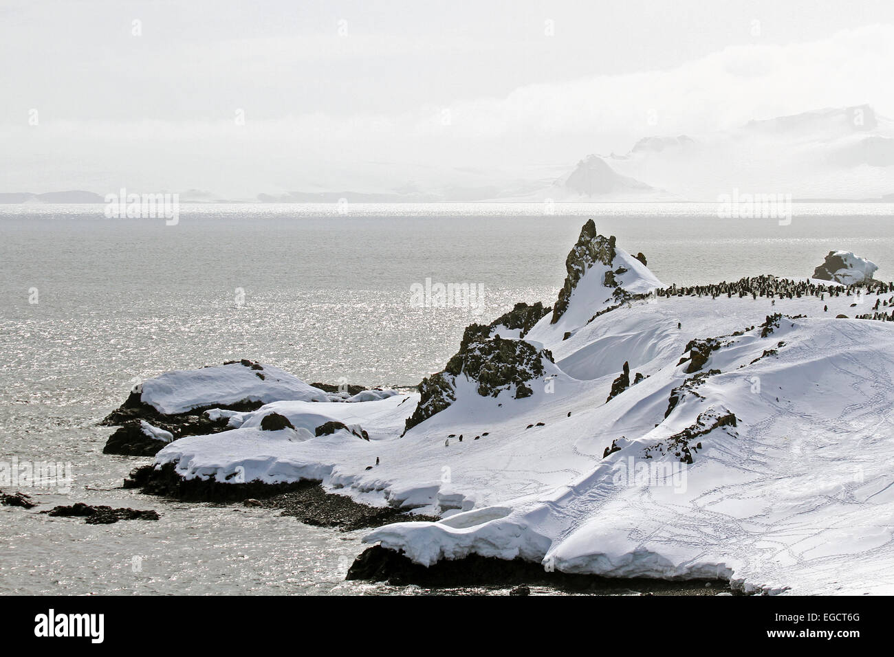 Il Whaler's Bay, isola Deception, sud le isole Shetland arcipelago, con uno dei porti più sicuri in Antartide. Foto Stock