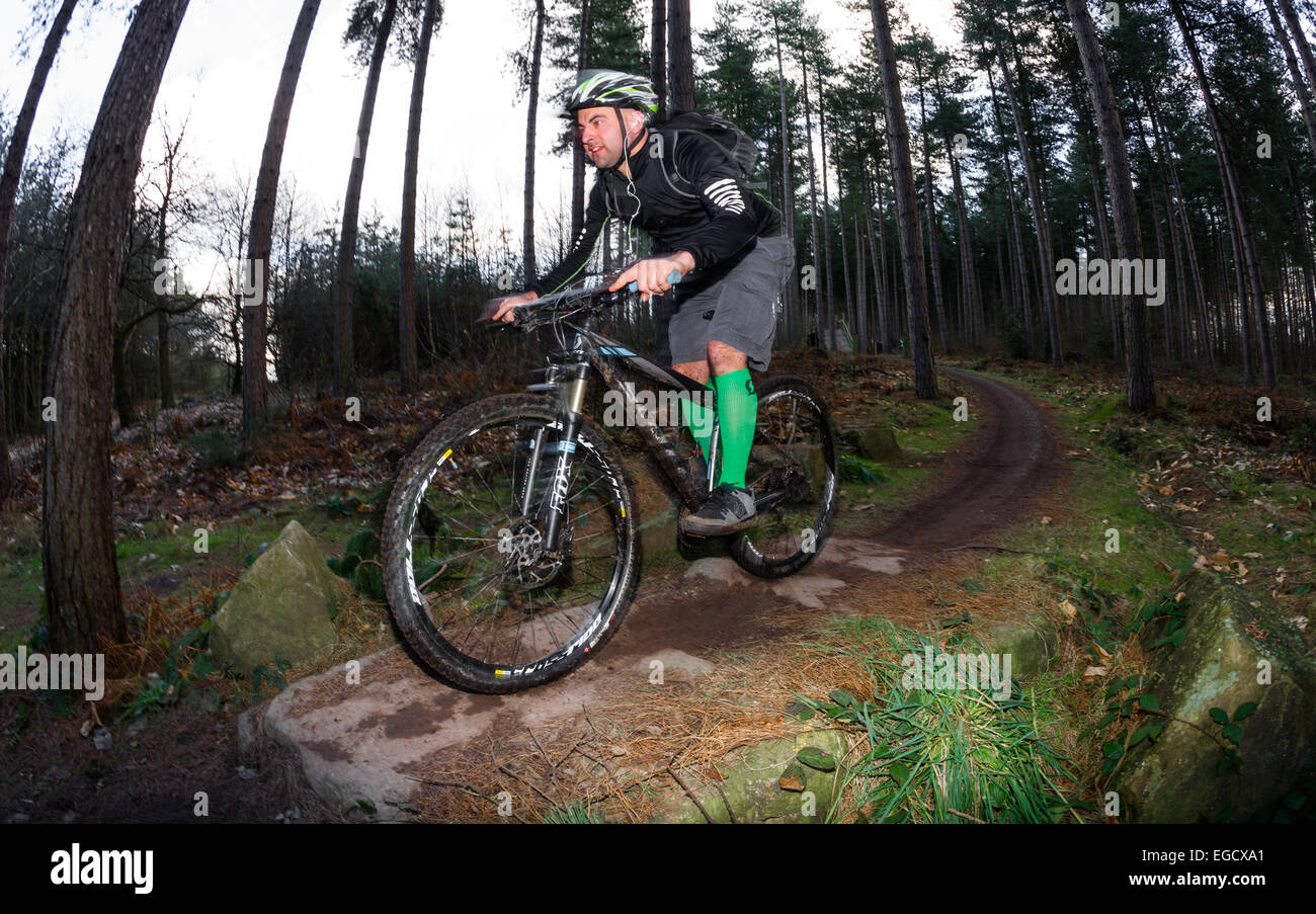 Ciclista maschio con mountain bike attraverso un sentiero roccioso in un bosco di impostazione. Foto Stock