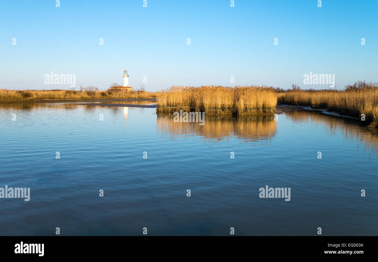 L'Italia, il parco del delta del Po, la laguna di Goro Foto Stock