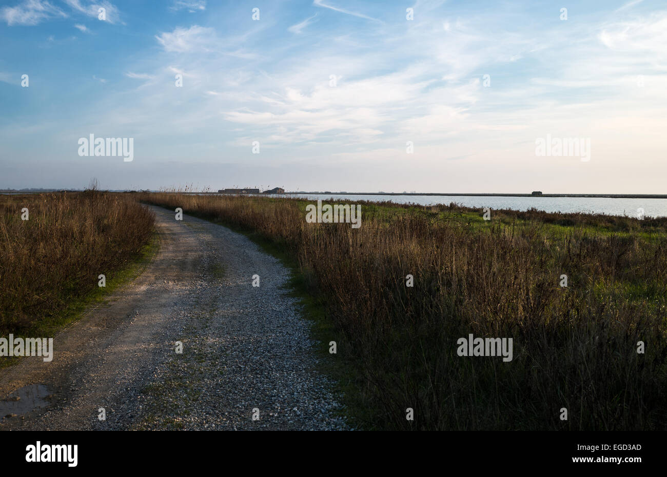 L'Italia, il parco del delta del Po, il tramonto sulla laguna di Comacchio nel prato area rozzo Foto Stock