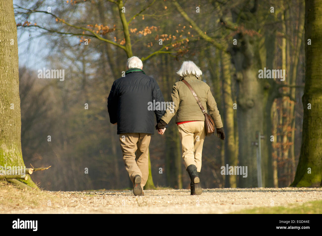 Coppia di anziani a camminare in una foresta insieme e tenendo le mani Foto Stock