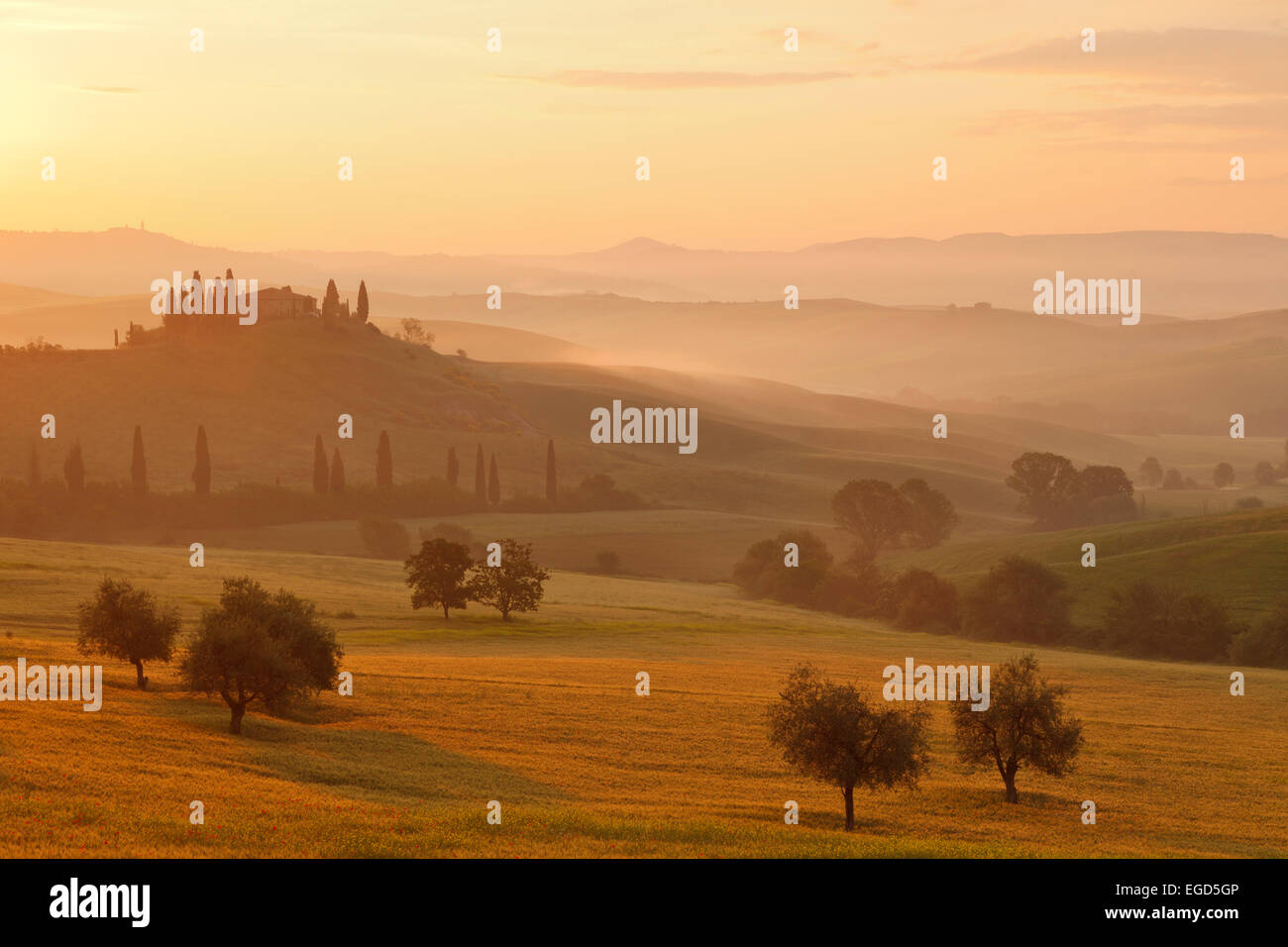 Tipico paesaggio toscano con hillls, country house e cipressi, nei pressi di San Quirico d'Orcia, Val d'Orcia, Val d'Orcia, Sito Patrimonio Mondiale dell'UNESCO, provincia di Siena, Toscana, Italia, Europa Foto Stock