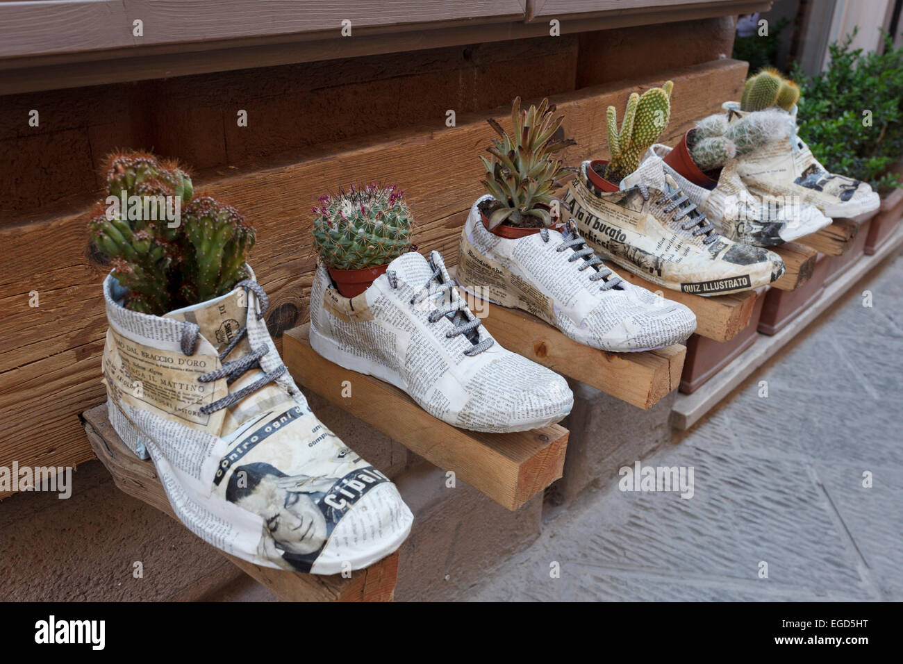 Negozio di calzature, con cactus piantato nelle scarpe, Montepulciano in  provincia di Siena, Toscana, Italia, Europa Foto stock - Alamy