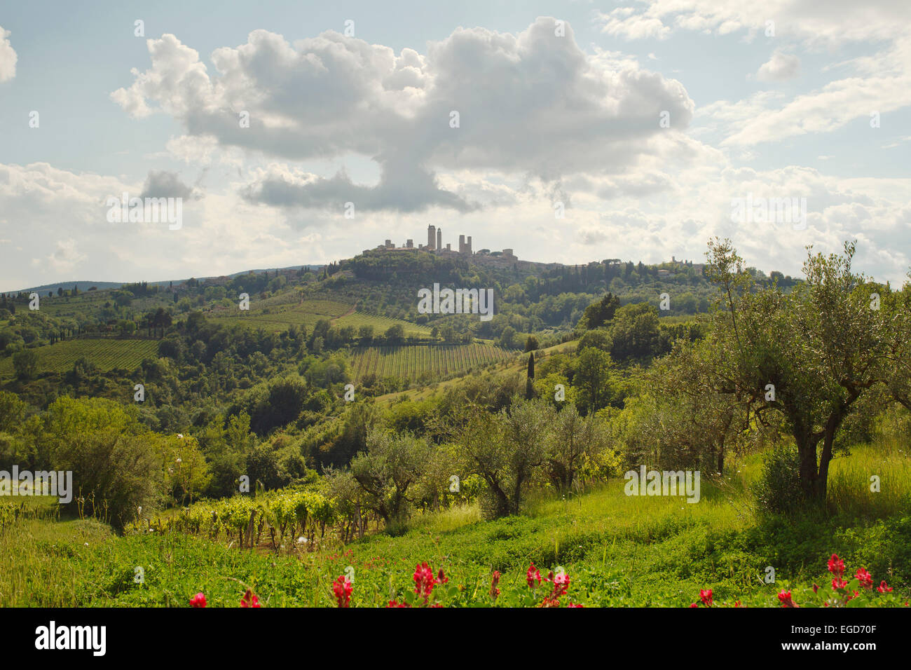 Veduta della città con le torri di San Gimignano, città di collina, Sito Patrimonio Mondiale dell'UNESCO, provincia di Siena, Toscana, Italia, Europa Foto Stock