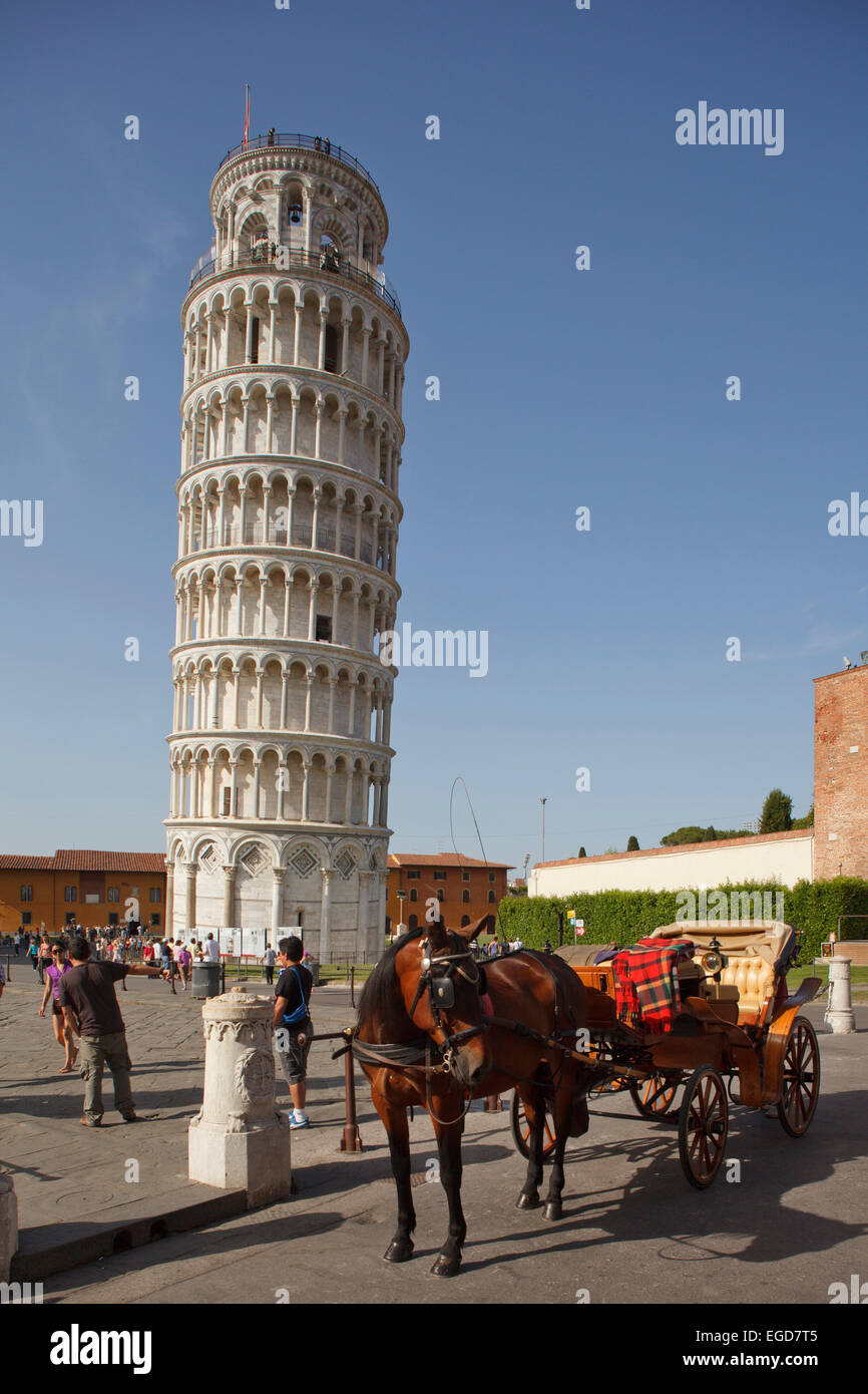 Il campanile, la Torre Pendente di Pisa, Torre Pendente e Piazza dei Miracoli, la piazza dei Miracoli, Piazza del Duomo, Piazza del Duomo, Sito Patrimonio Mondiale dell'UNESCO, Pisa, Toscana, Italia, Europa Foto Stock