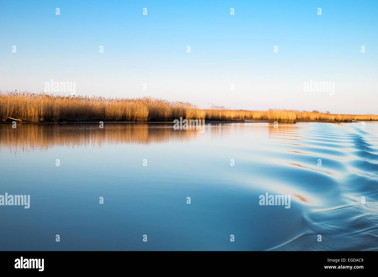 L'Italia, il parco del delta del Po, la laguna di Goro Foto Stock