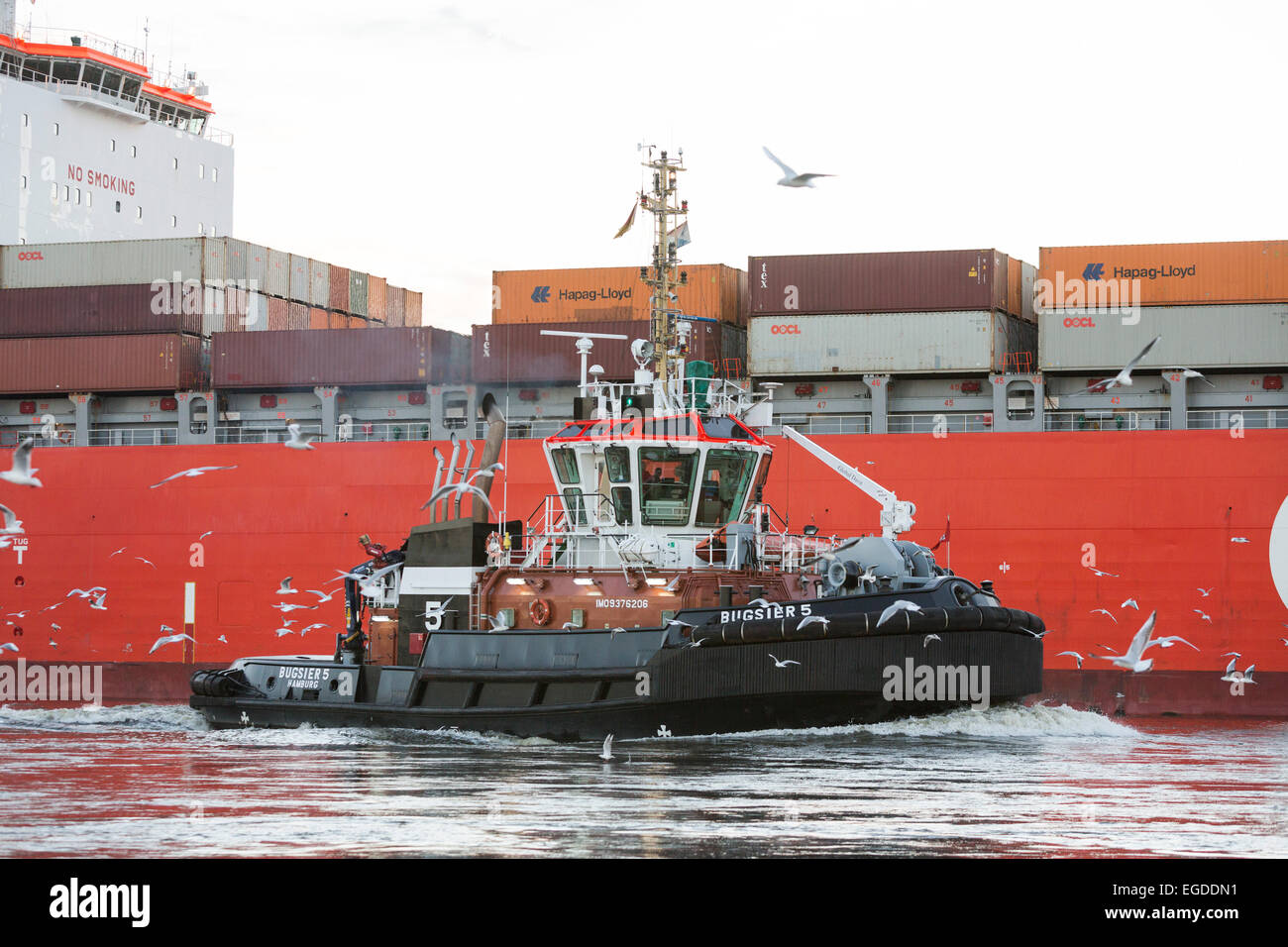 Trattore rimorchiatore a traino nella parte anteriore di una nave portacontainer, Altenwerder, Amburgo, Germania Foto Stock