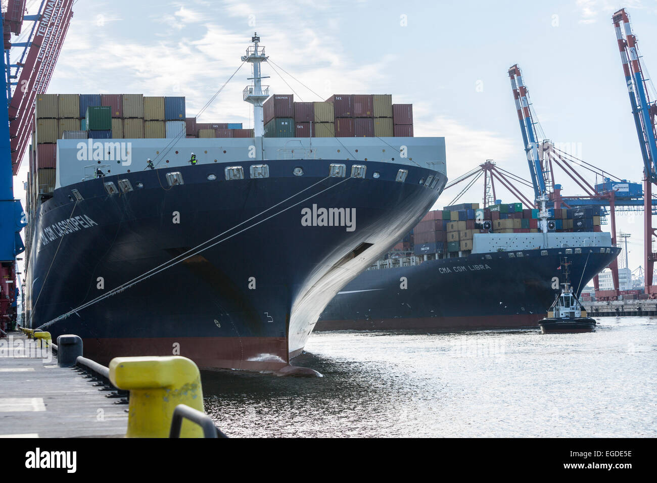 Contenitore nave ormeggiata in container terminal Burchardkai ad Amburgo, Burchardkai, Amburgo, Germania Foto Stock