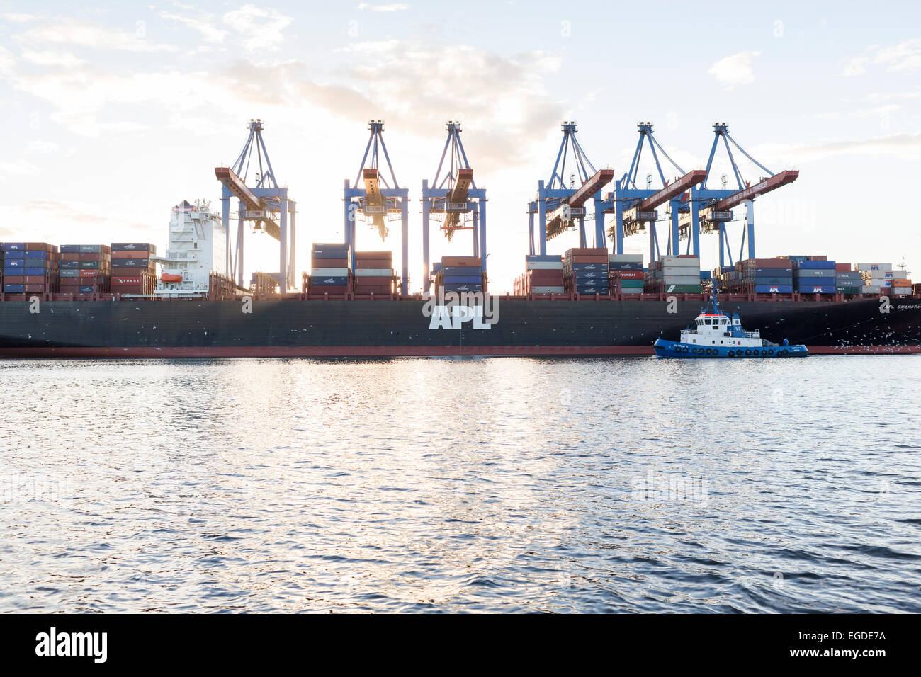 Nave container carico e scarico presso il container terminal Altenwerder di Amburgo, Germania Foto Stock