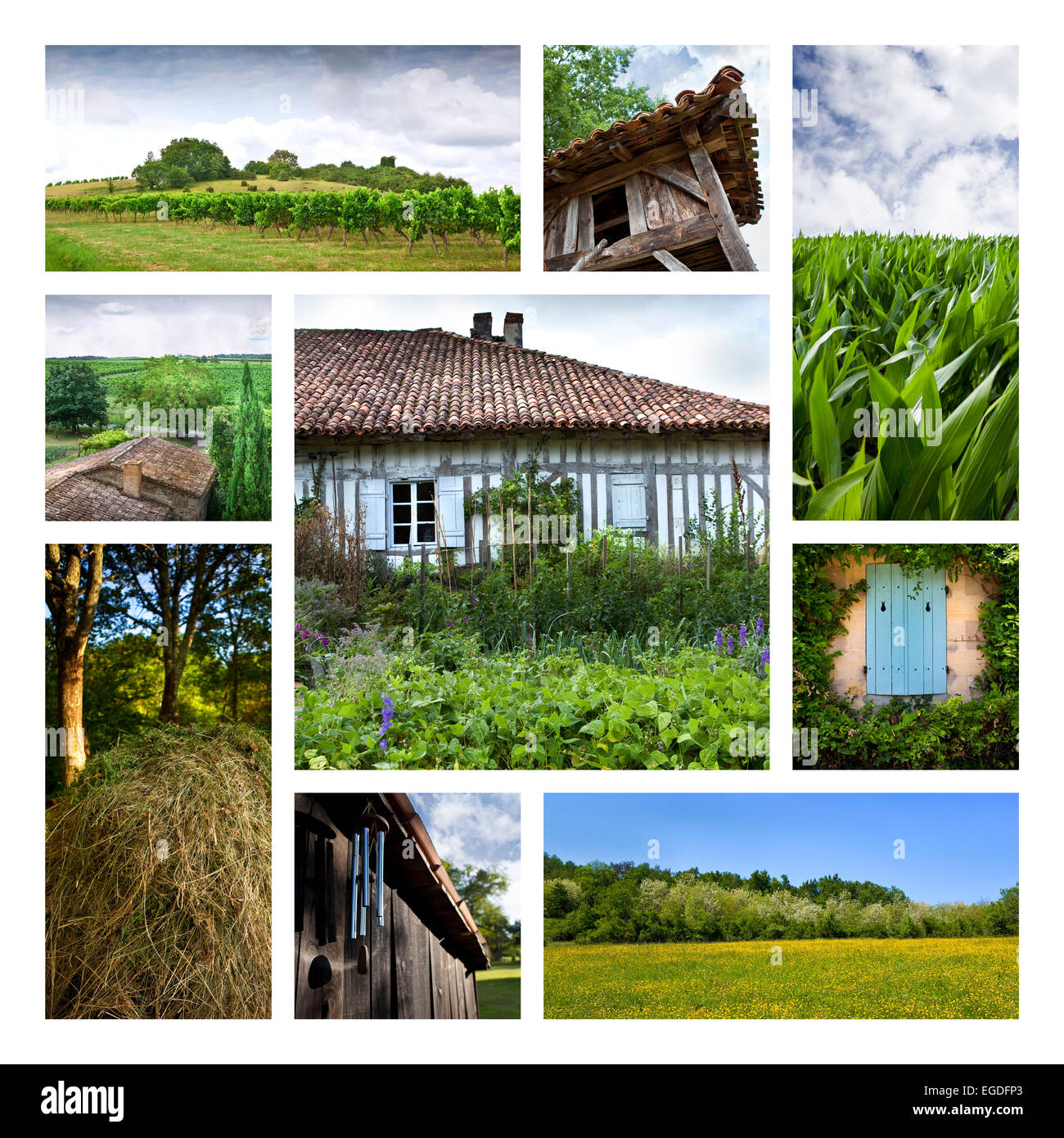 Collage di varie campagne di foto Foto Stock