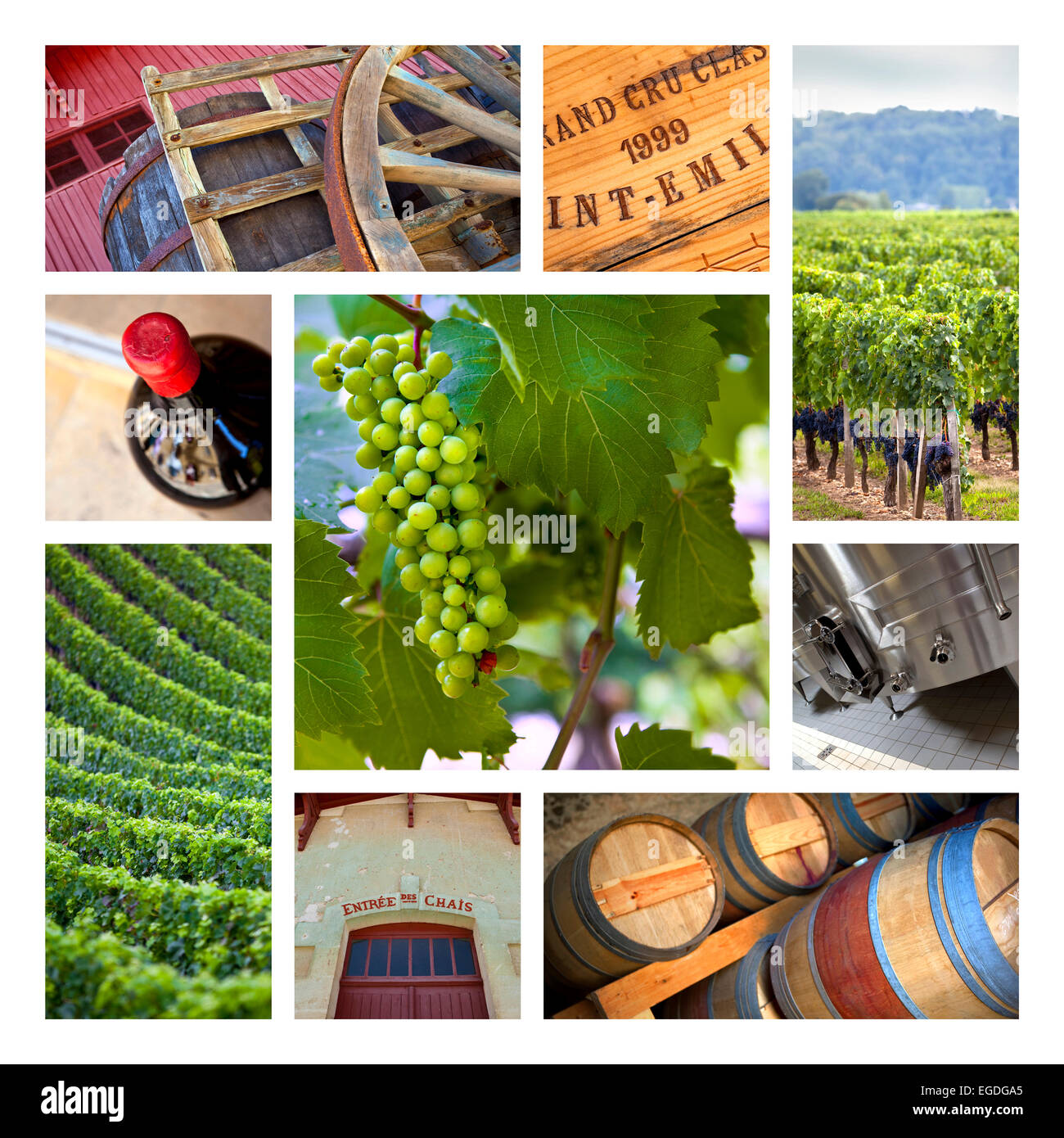 Vigneti e cantine su un collage Foto Stock