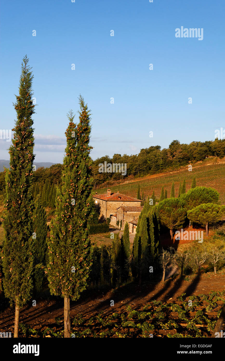 Albola, Radda in Chianti, Toscana, Italia Foto Stock