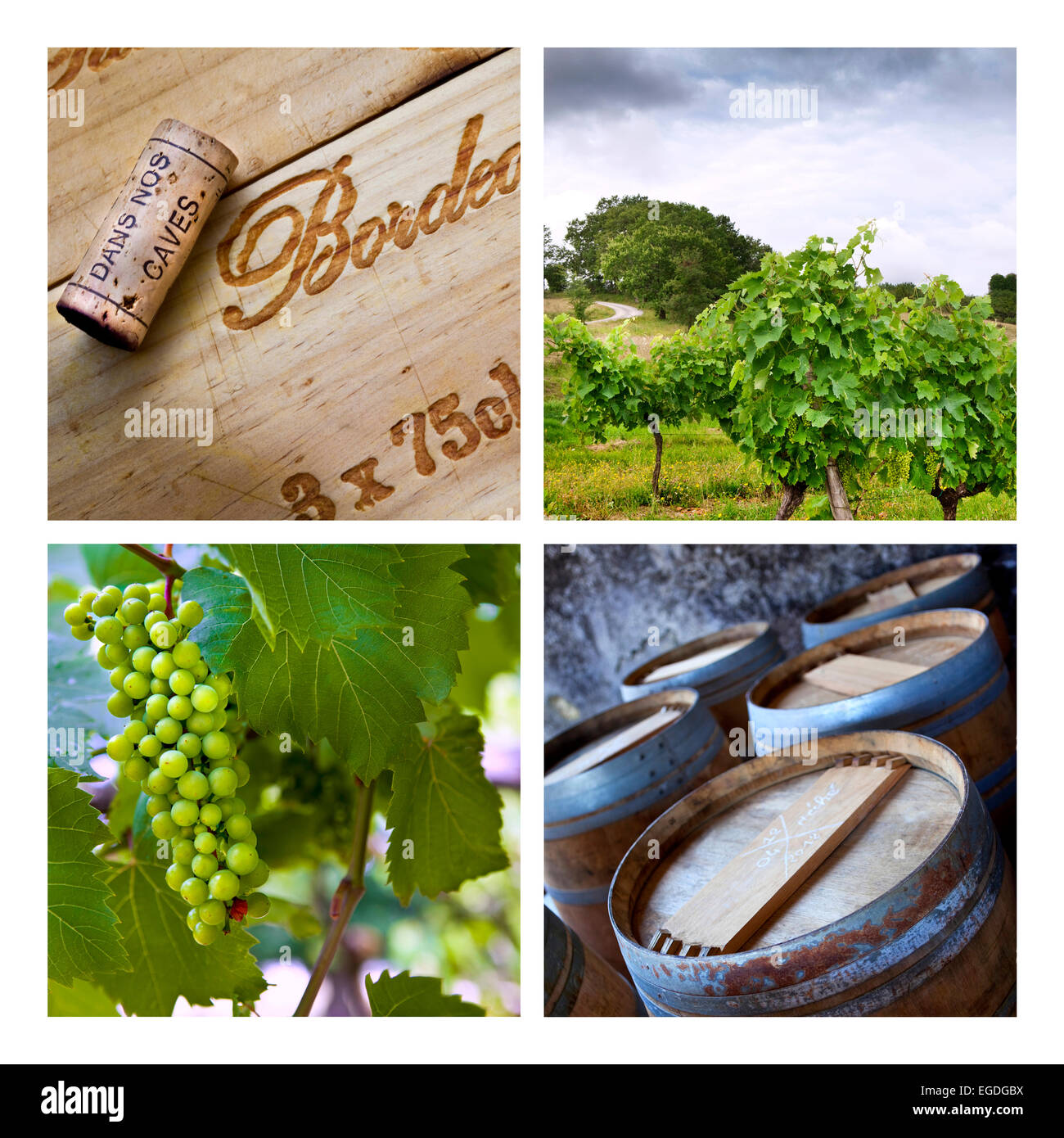 Vigneti e cantine su un collage Foto Stock