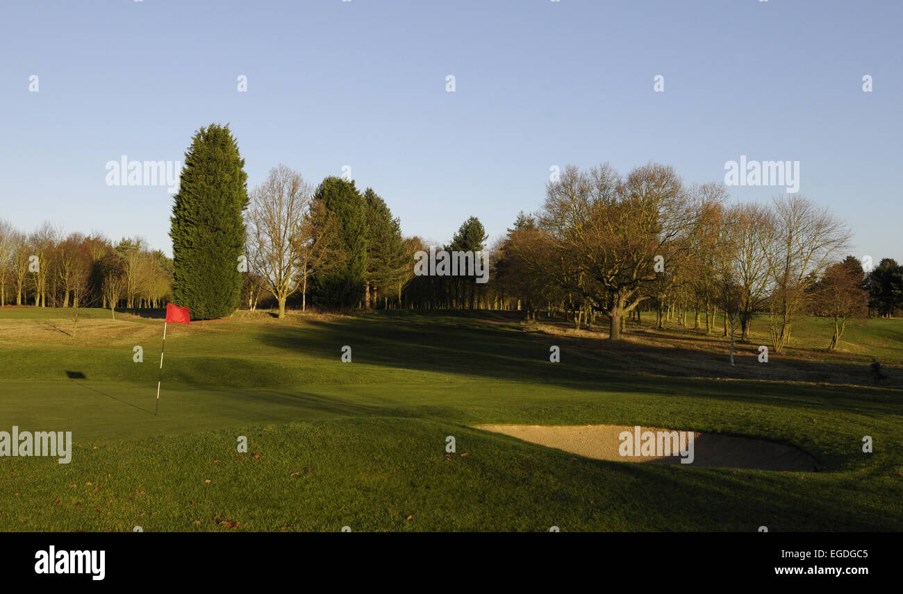 Vista la settima verde con bunker sul corso di Cartagena John O'Gaunt Golf Club Sandy Bedfordshire Inghilterra Foto Stock