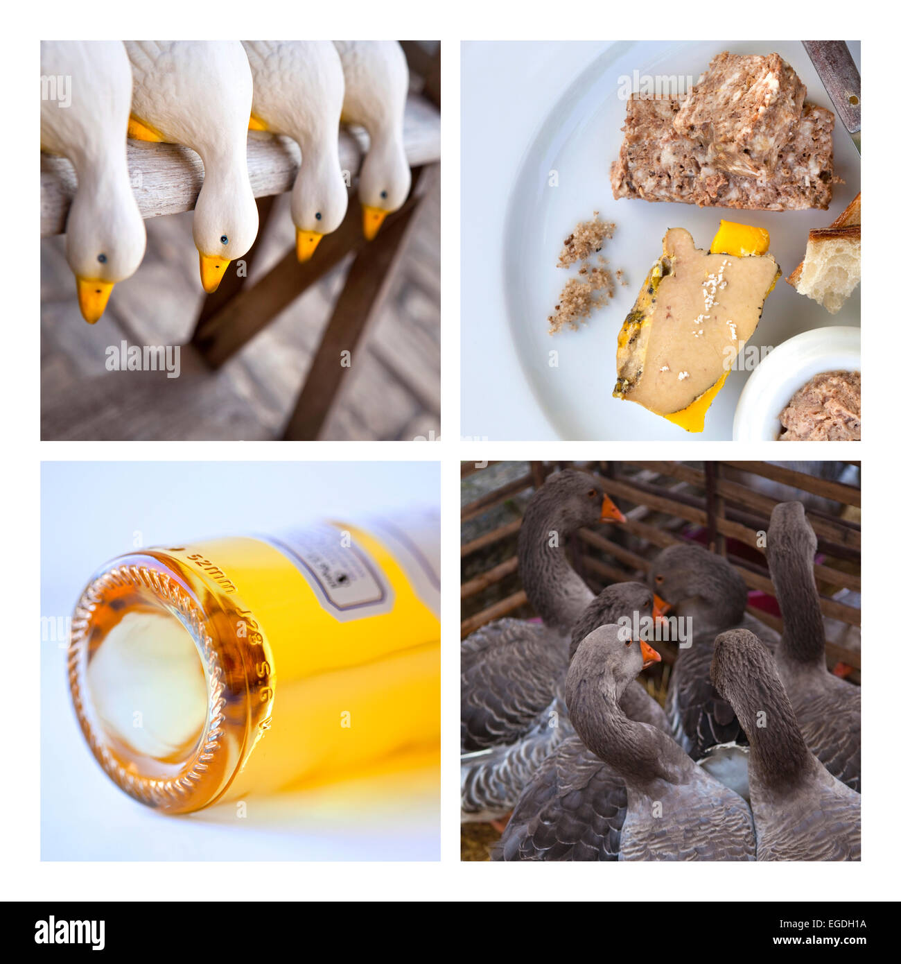 Duck, foie gras e vino bianco in un collage Foto Stock