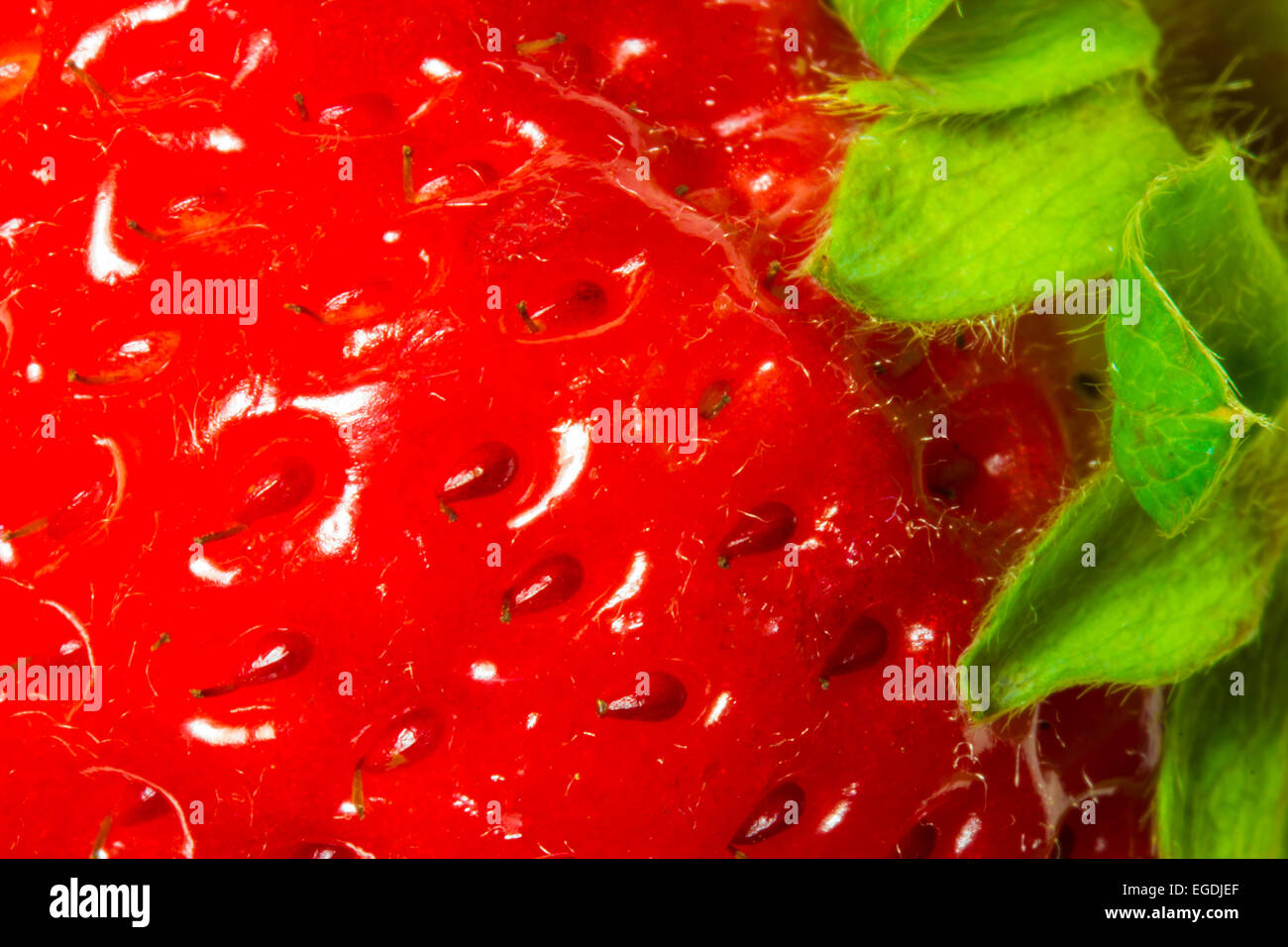 Fragole fresche close-up tessitura macro abstract Foto Stock