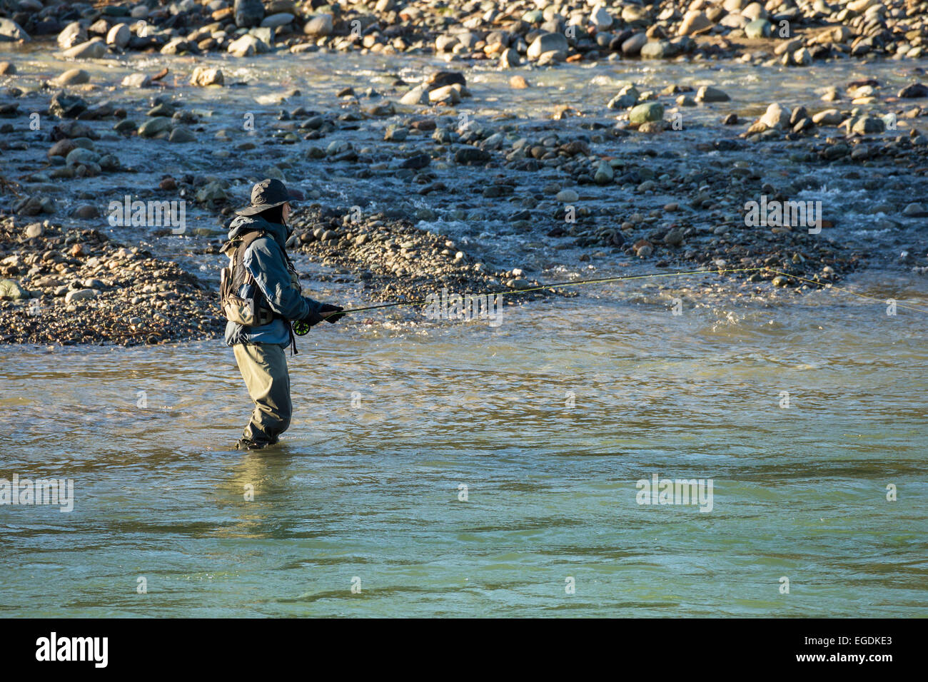 Fisherman pesca nel fiume Chiliwack su inverno pieno di sole di mattina-Vedder, British Columbia, Canada. Foto Stock