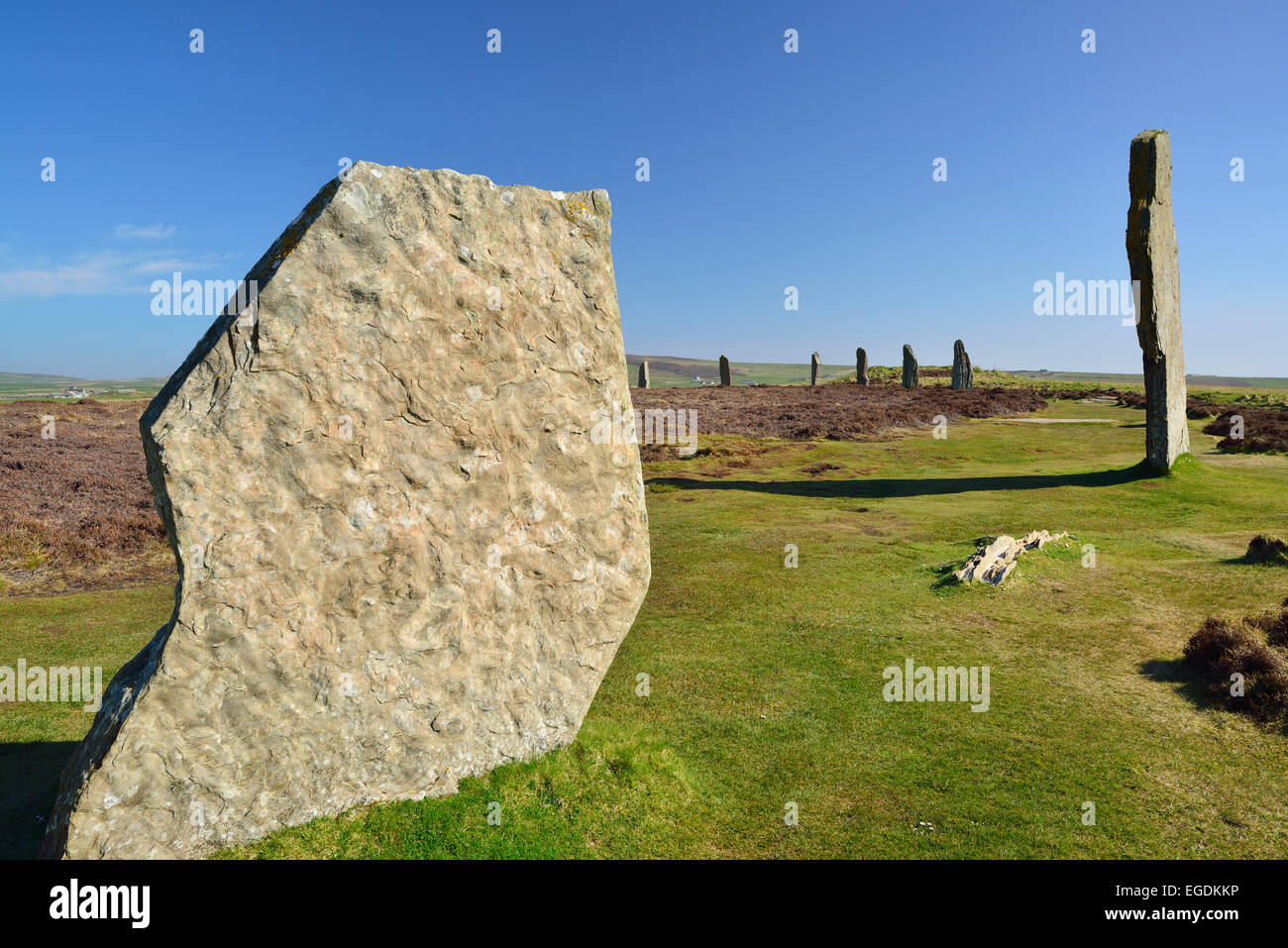 Neolitico pietre permanente, anello di Brodgar, Sito Patrimonio Mondiale dell'UNESCO il cuore delle Orcadi neolitiche, isole Orcadi Scozia, Gran Bretagna, Regno Unito Foto Stock