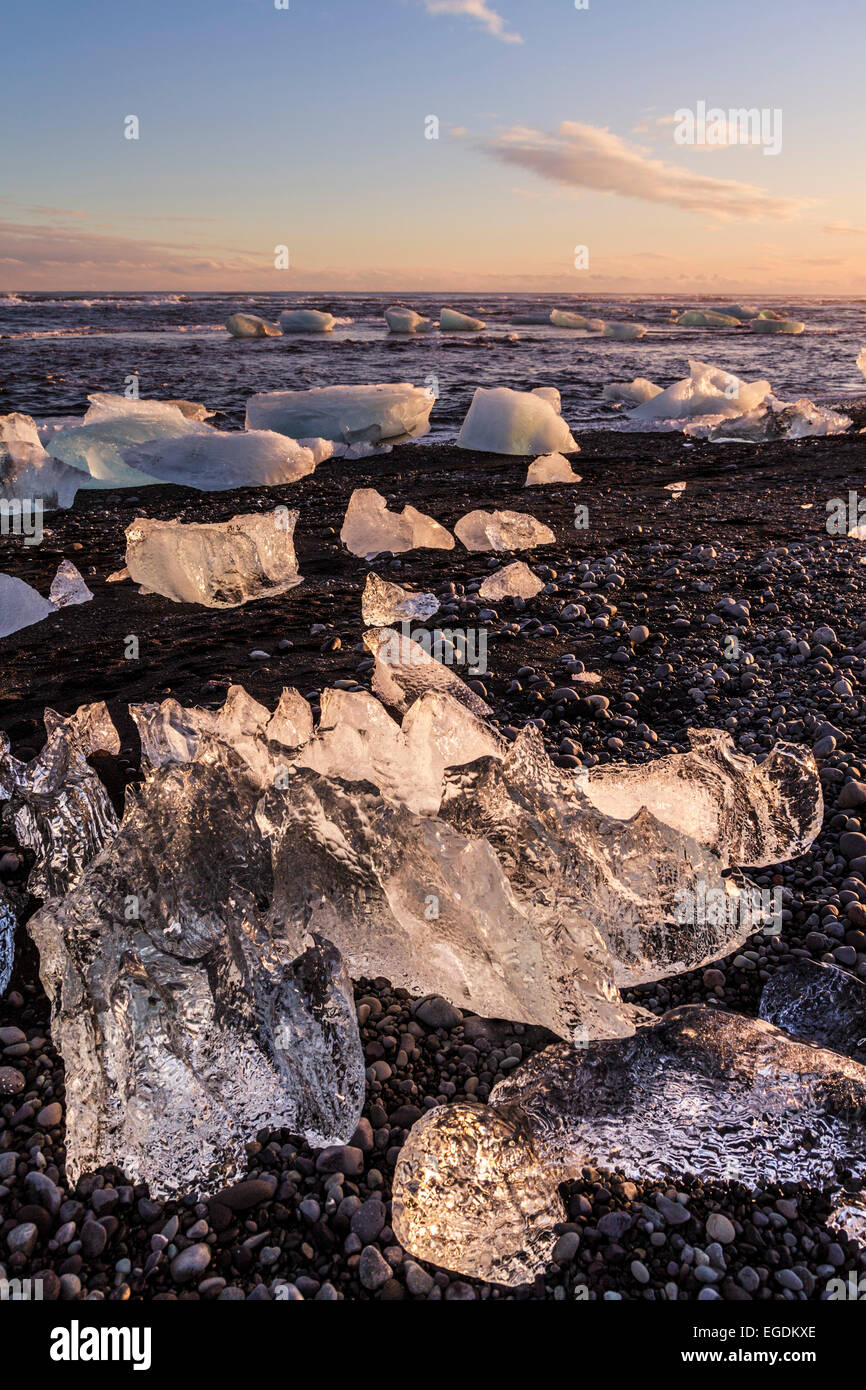 Iceberg a Jokulsarlon spiaggia nera al tramonto Jokulsarlon Islanda Foto Stock