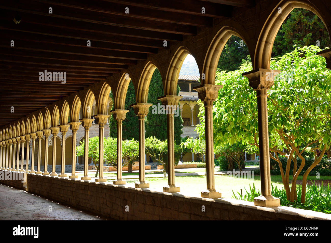 Chiostro abbazia di Pedralbes, Reial Monestir de Santa Maria de Pedralbes, architettura gotica, Pedralbes, Barcellona, in Catalogna, Spagna Foto Stock