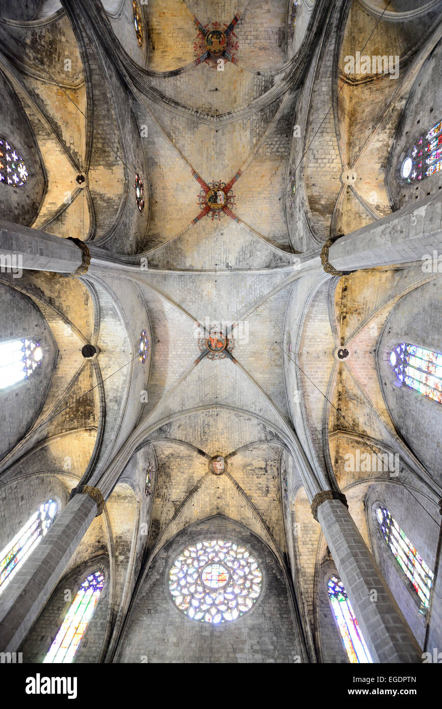 Tetto ad arco della chiesa di Santa Maria del Mar, interno, architettura gotica, Ribera, Barcellona, in Catalogna, Spagna Foto Stock