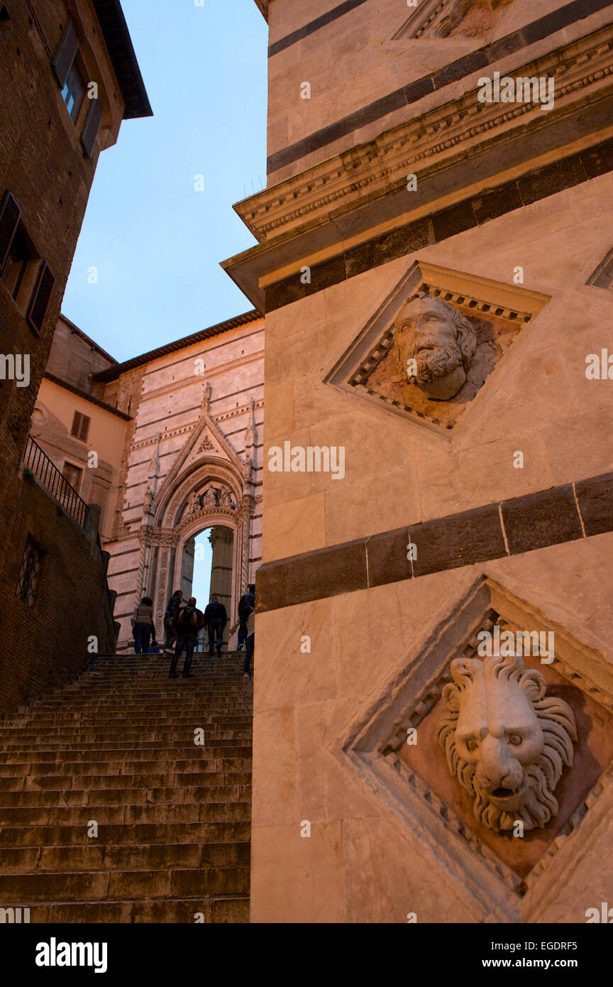 Passi che conducono fino alla cattedrale, Siena, Toscana, Italia Foto Stock