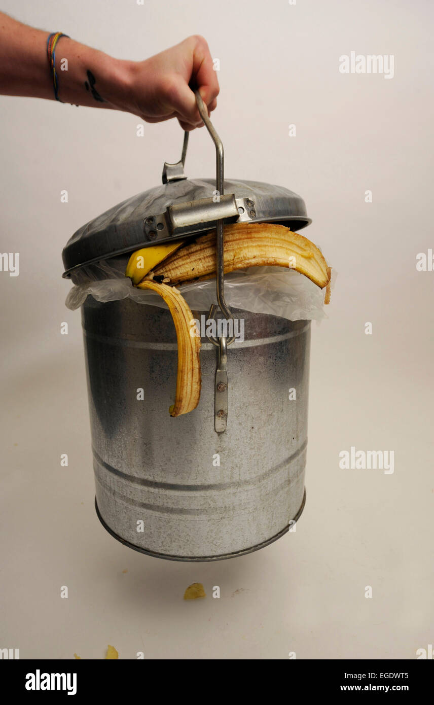 Bidone del compost Foto Stock