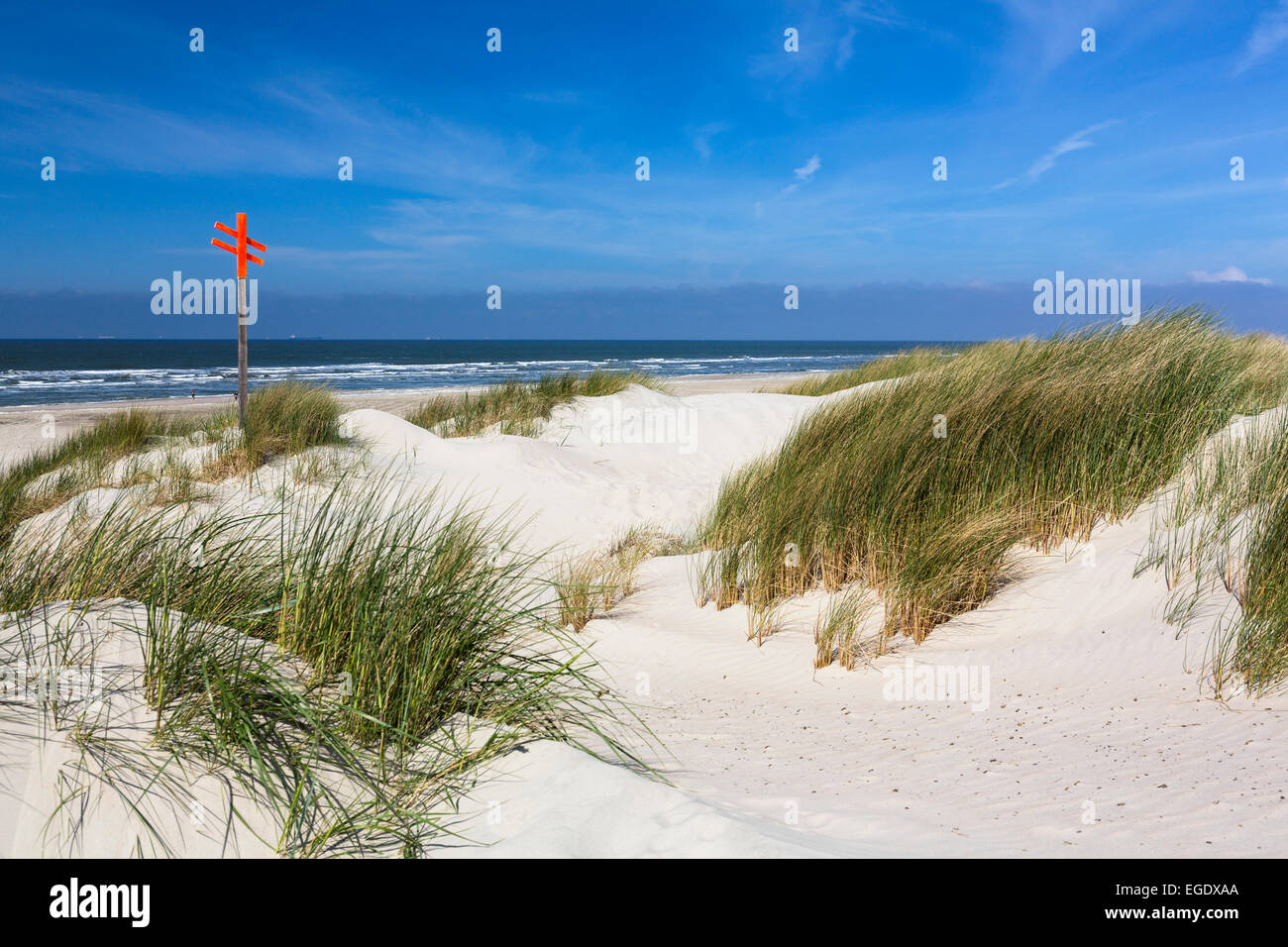 Dune lungo la spiaggia, Spiekeroog Island, Parco Nazionale, Mare del Nord est delle Isole Frisone, Frisia orientale, Bassa Sassonia, Germania, Europa Foto Stock