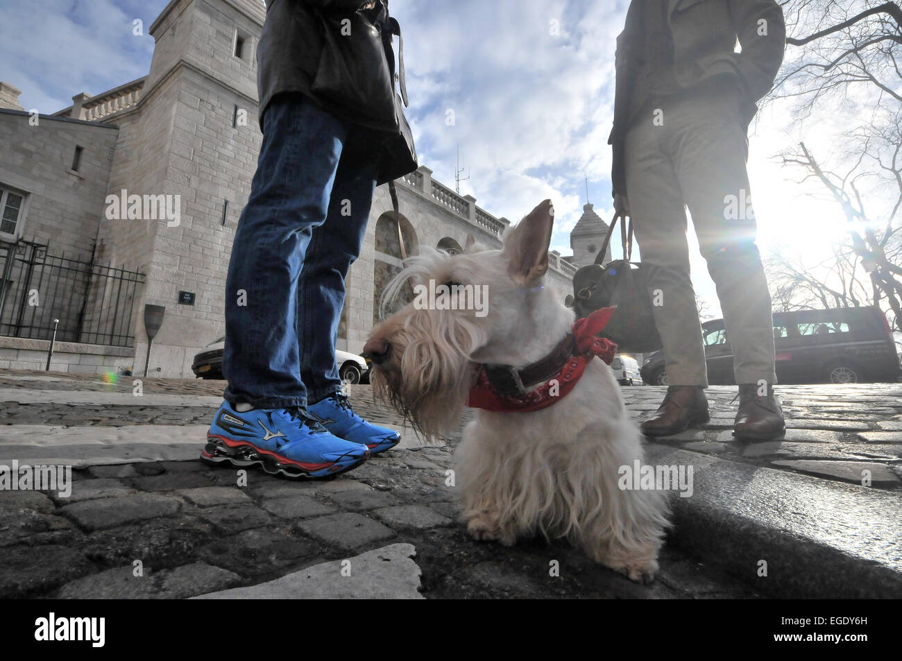 Passeggiate con il cane al Sacre Coeur, Montmatre, Parigi, Francia Foto Stock