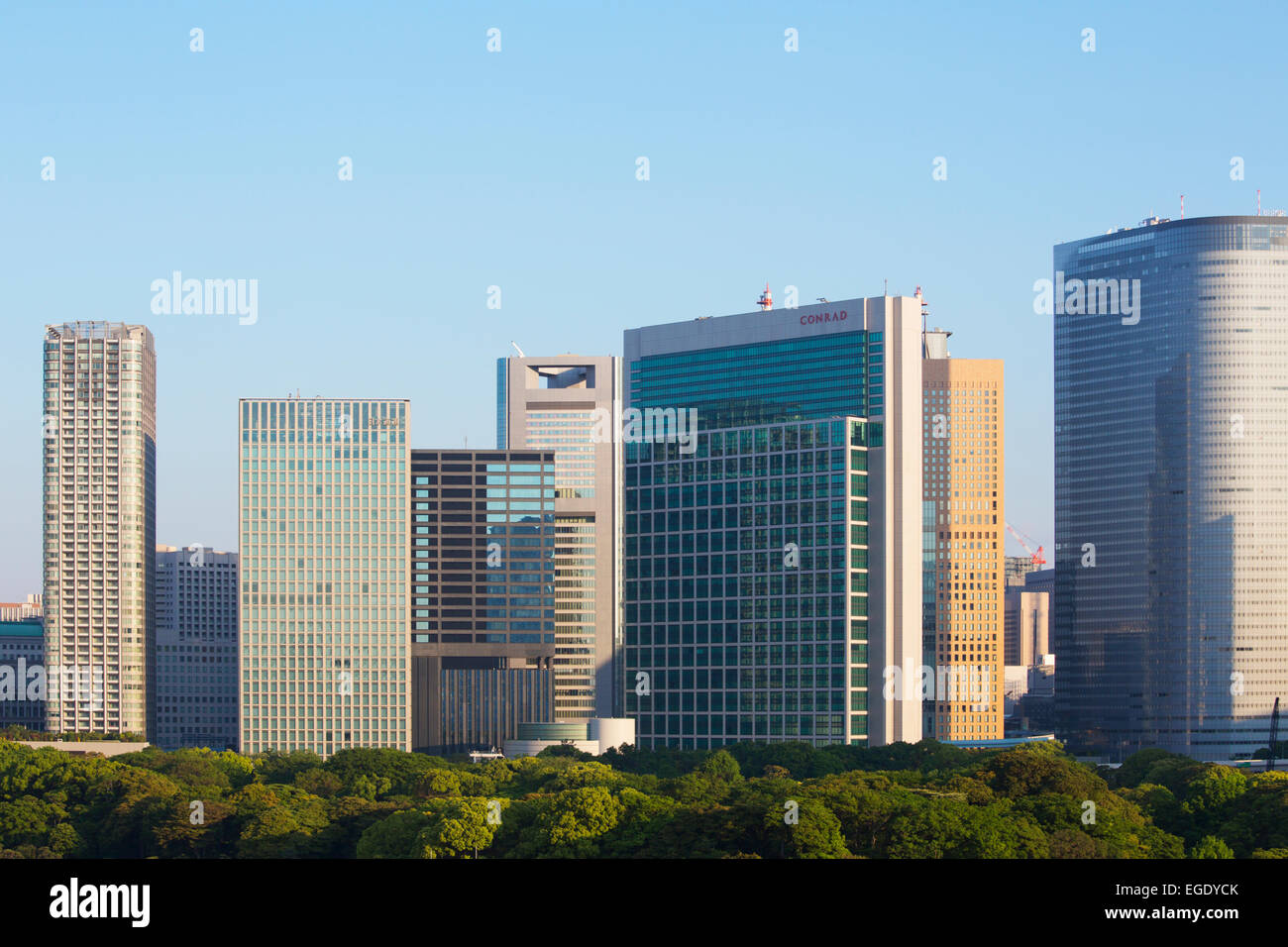 Grattacieli di Tokyo, Giappone Foto Stock