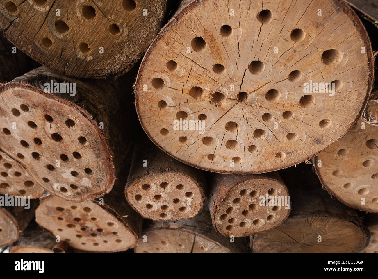 Mini bestia uomo fatto rifugio di habitat per la conservazione di aiuto di insetti invertebrati Foto Stock