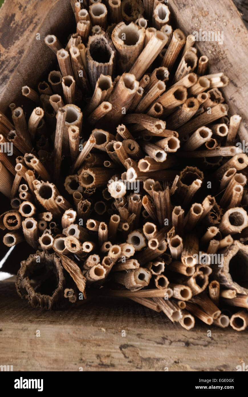 Mini bestia uomo fatto rifugio di habitat per la conservazione di aiuto di insetti invertebrati Foto Stock