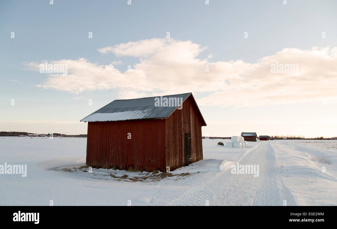 Fienile in campo invernale Foto Stock