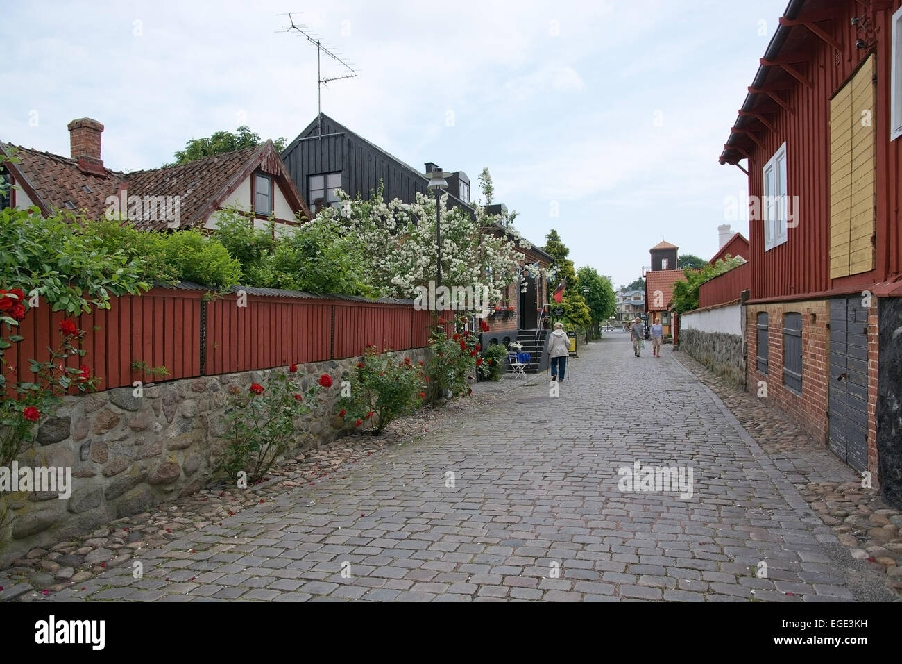 Ahu, sud della Svezia - Giugno 28, 2014: strada idilliaco con rose e ciottoli su Giugno 28, 2014 in Ahus, nel sud della Svezia. Foto Stock