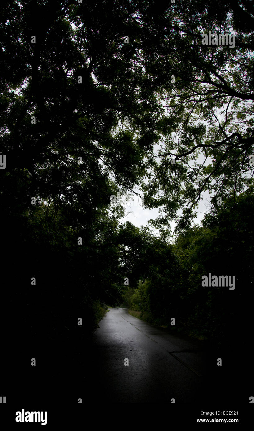 Country road, estate, UK. Foto Stock