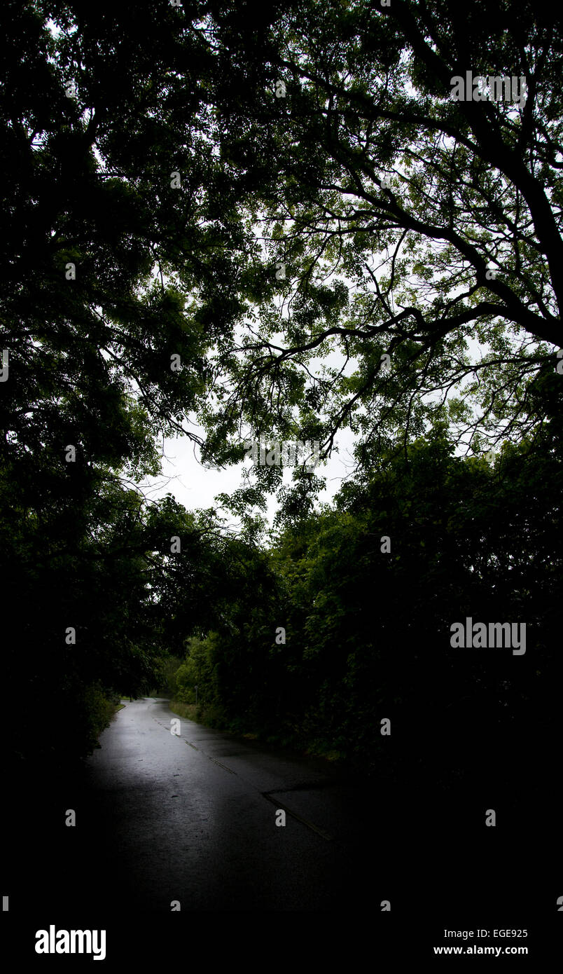 Country road, estate, UK. Foto Stock