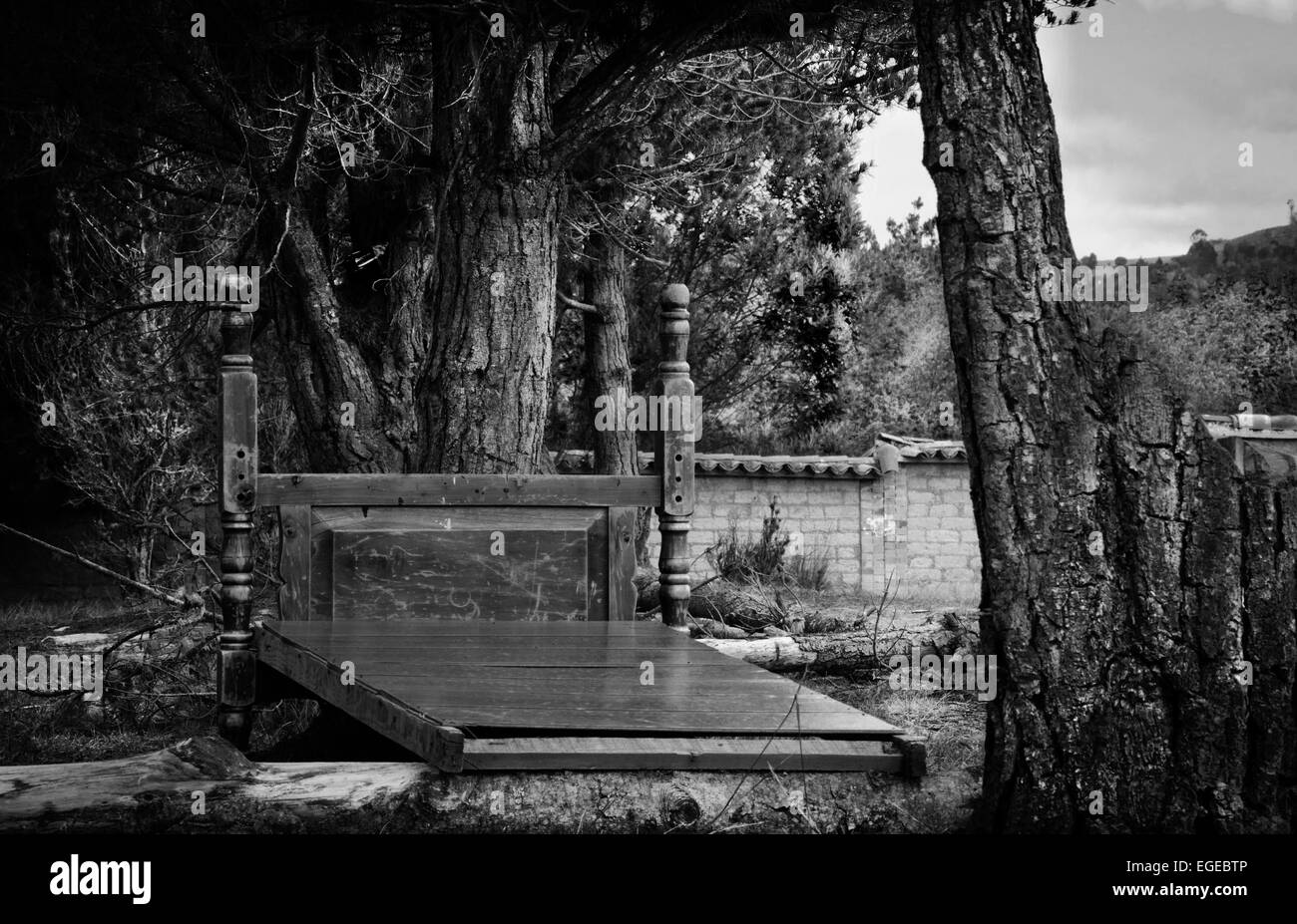 Natura, vuoto e bianco, tronchi, boschi, letto, camuffamento, alberi, foglie, cestino di riciclaggio, house, paesaggio, luogo Foto Stock