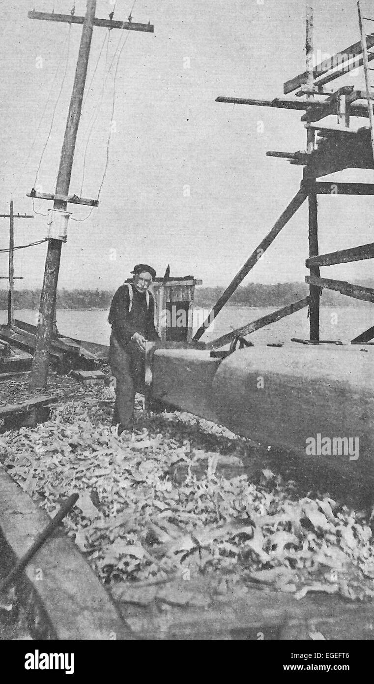 La sagomatura di un 100 piedi mast - Costruzione navale nel Maine 1916 Foto Stock