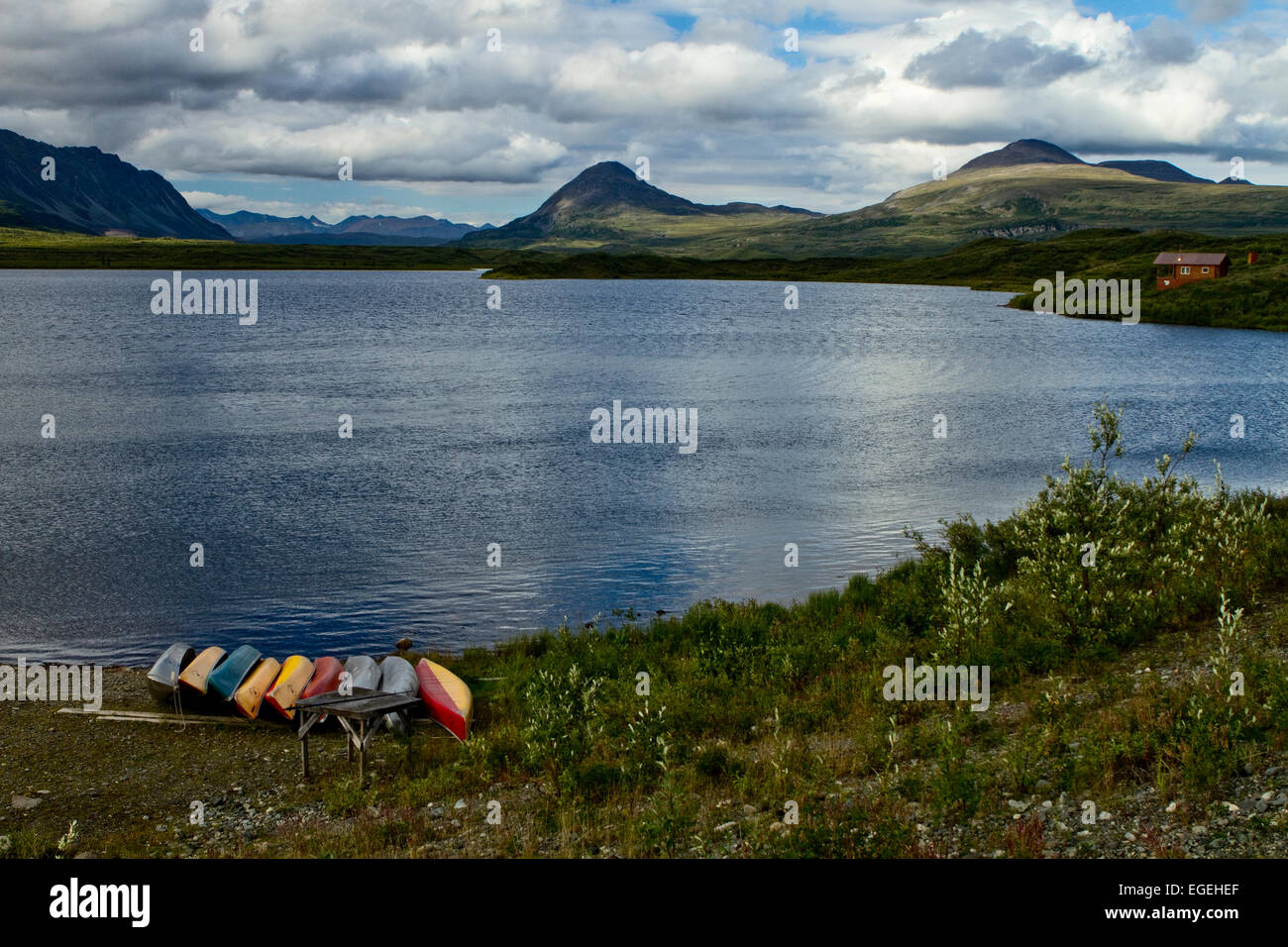 Lago a groviglio rotondo, Denali Highway, Alaska Foto Stock
