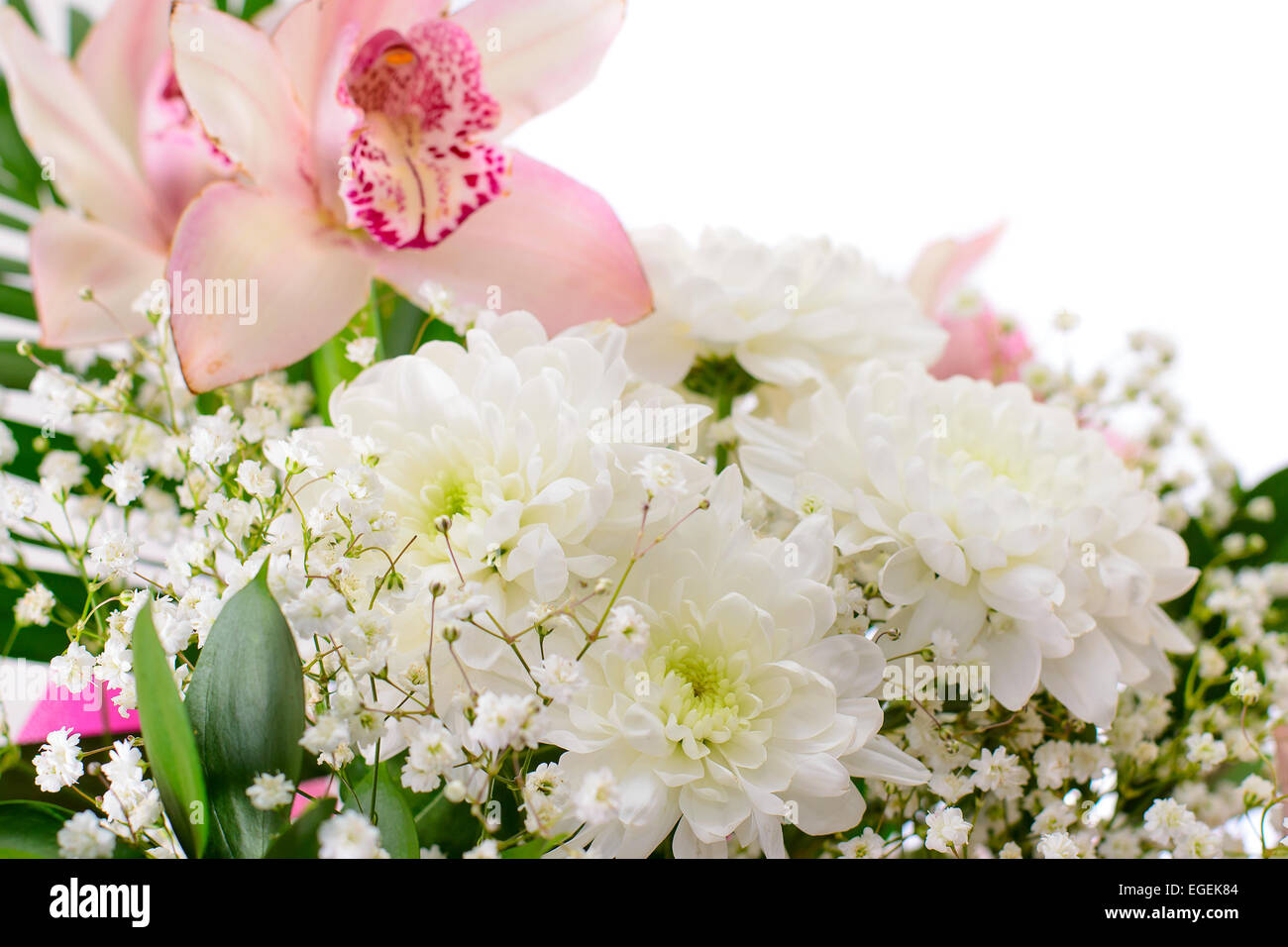 Bouquet di crisantemi isolato Foto Stock