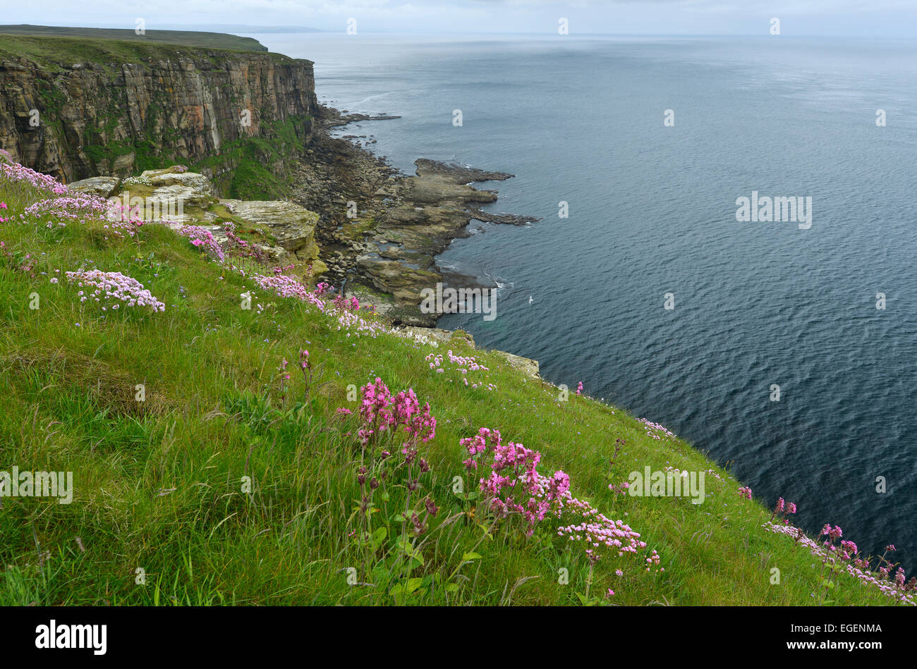 Testa di Dunnett, il punto più settentrionale della terraferma scozzese, Caithness, Highlands scozzesi, Scotland, Regno Unito Foto Stock
