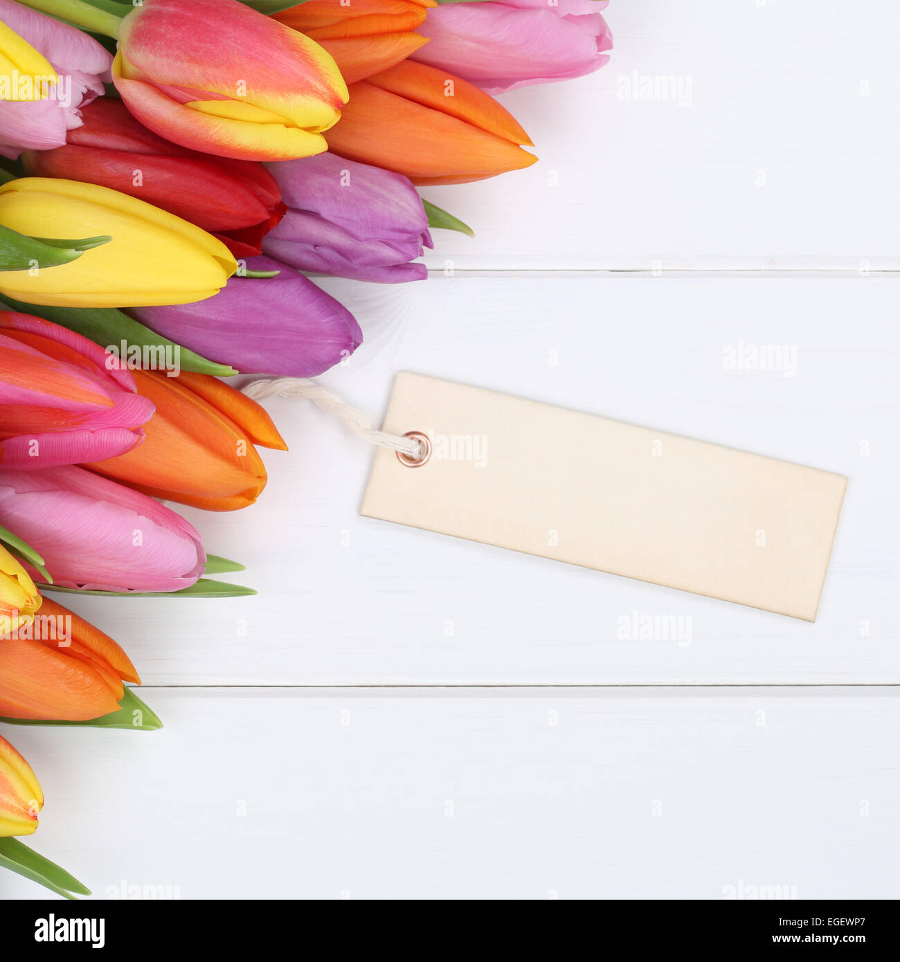 I tulipani fiori in primavera o la festa della mamma con vuoto della scheda Messaggi di saluto e copyspace su una tavola di legno Foto Stock