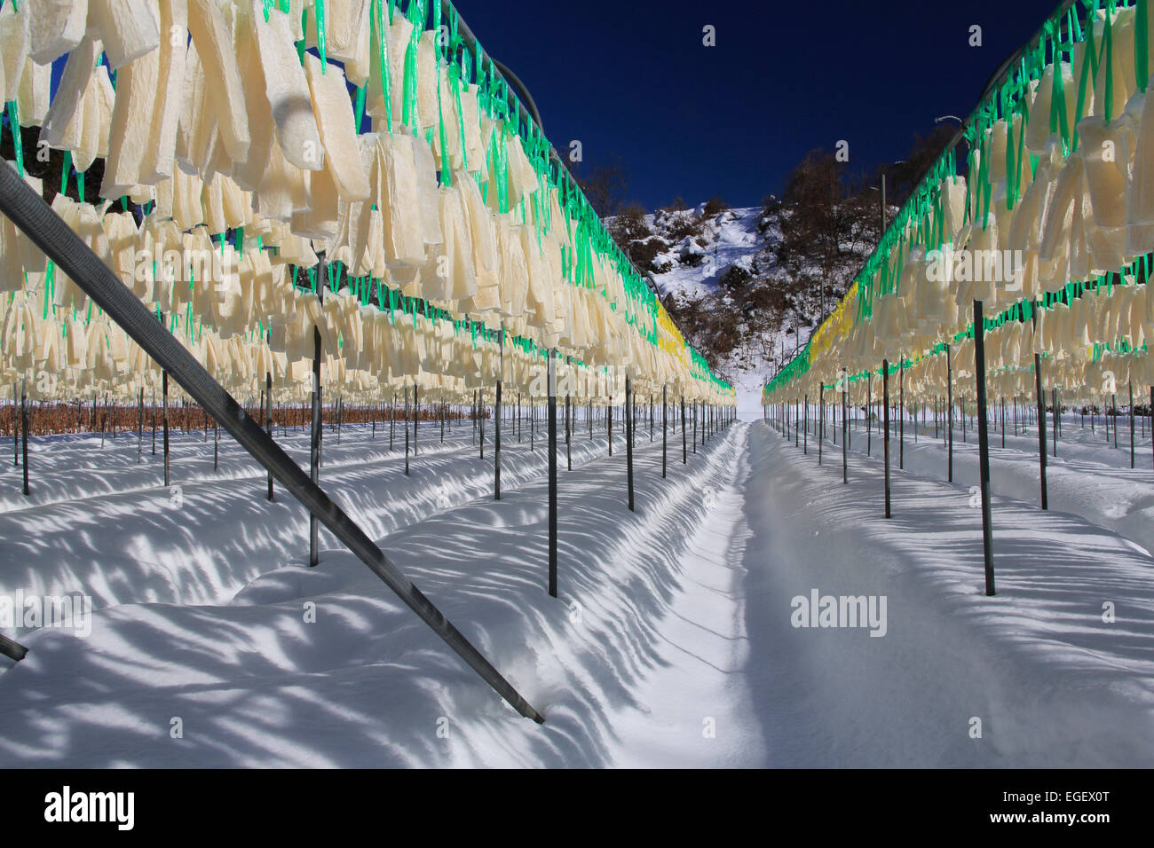 Nella Prefettura di Iwate, Giappone Foto Stock