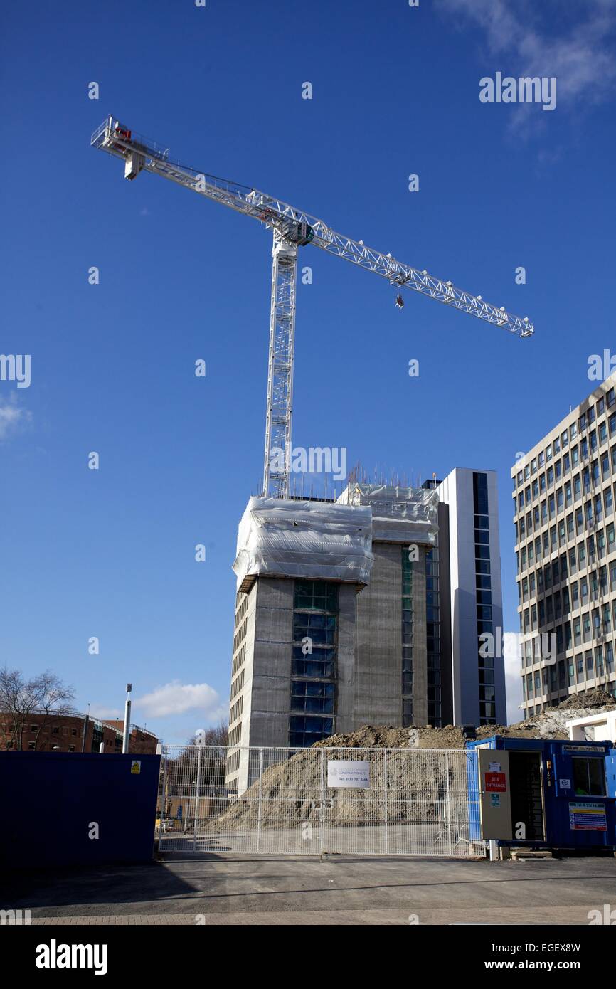 Gru da cantiere a Leeds Foto Stock