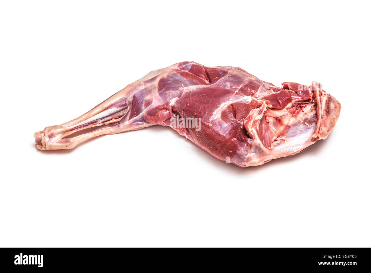 Haunch o gamba o materie di capriolo isolato su un bianco di sfondo per studio. Foto Stock